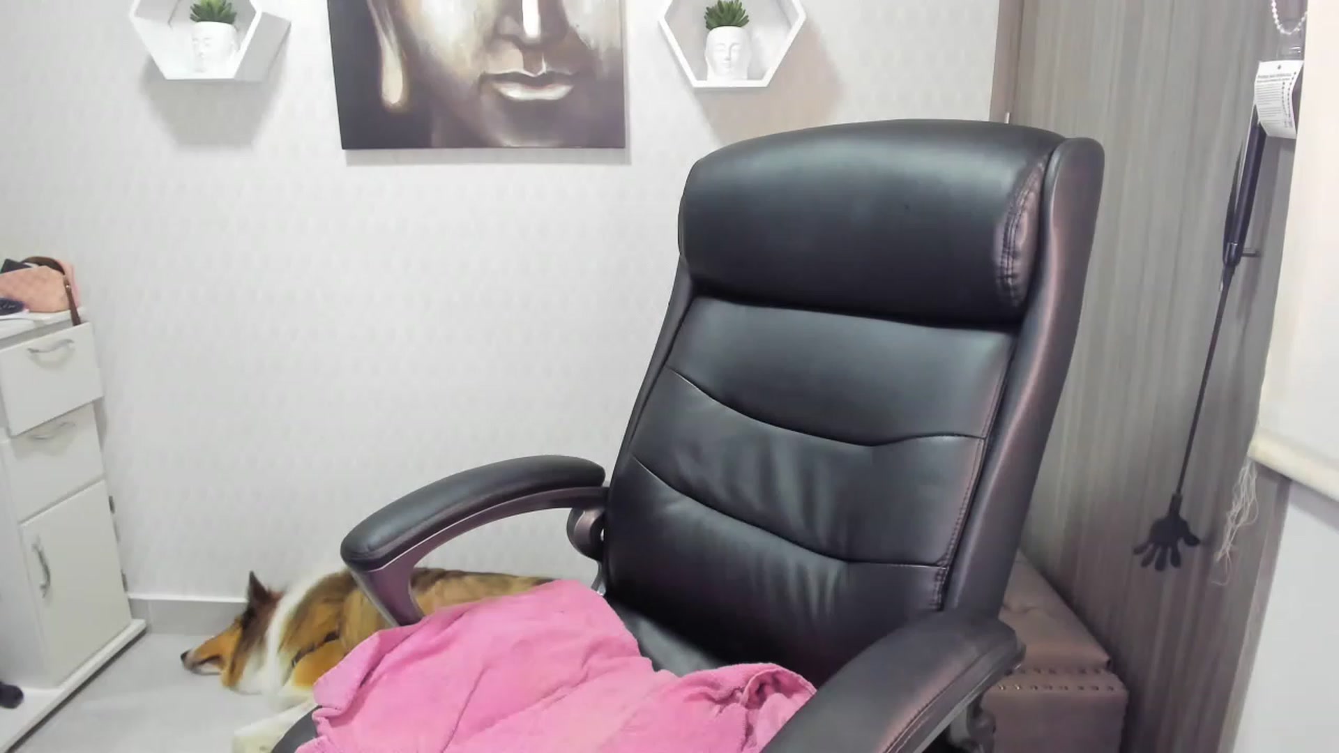Gallery image thumbnail from Susan_lane's myfreecams stream on, 03/13/2023, 04:03 image 20 of 20
