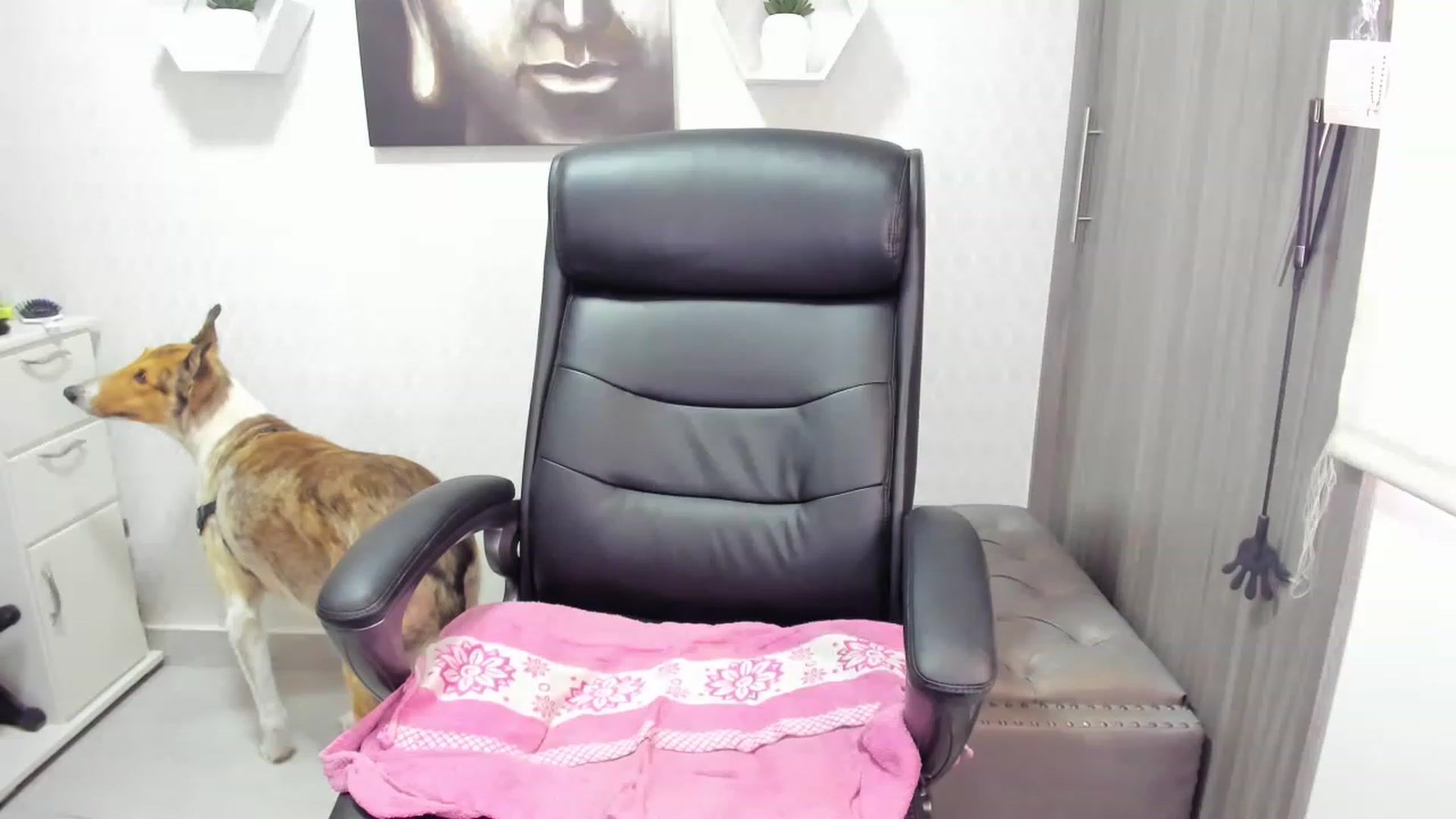 Gallery image thumbnail from Susan_lane's myfreecams stream on, 03/31/2023, 17:48 image 4 of 20