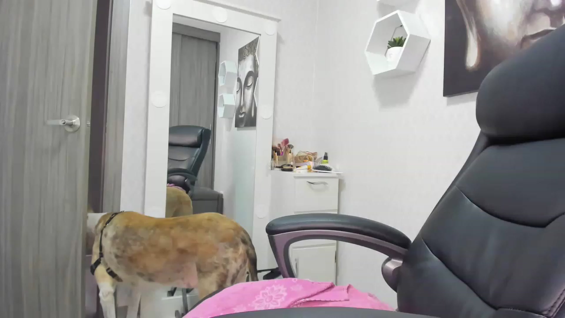 Gallery image thumbnail from Susan_lane's myfreecams stream on, 04/08/2023, 17:05 image 10 of 20