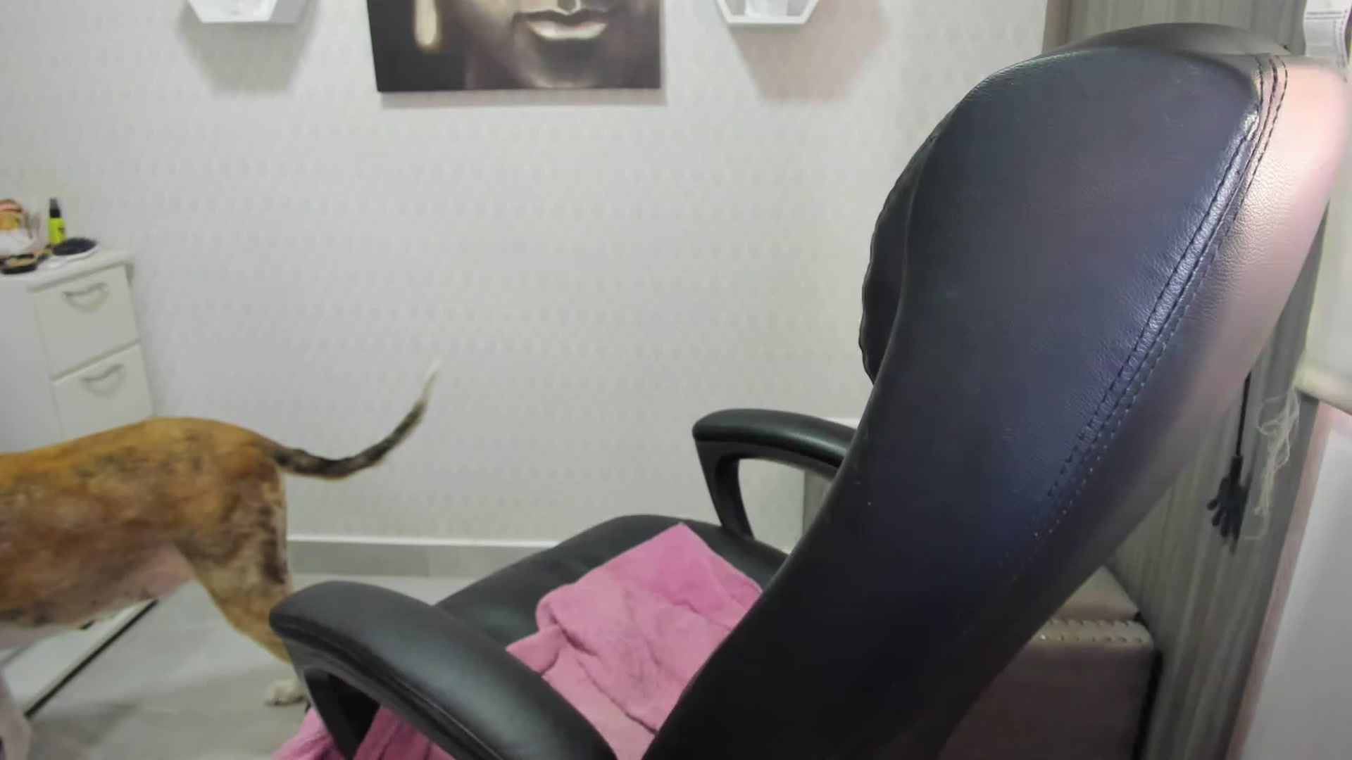 Gallery image thumbnail from Susan_lane's myfreecams stream on, 04/14/2023, 13:28 image 16 of 20