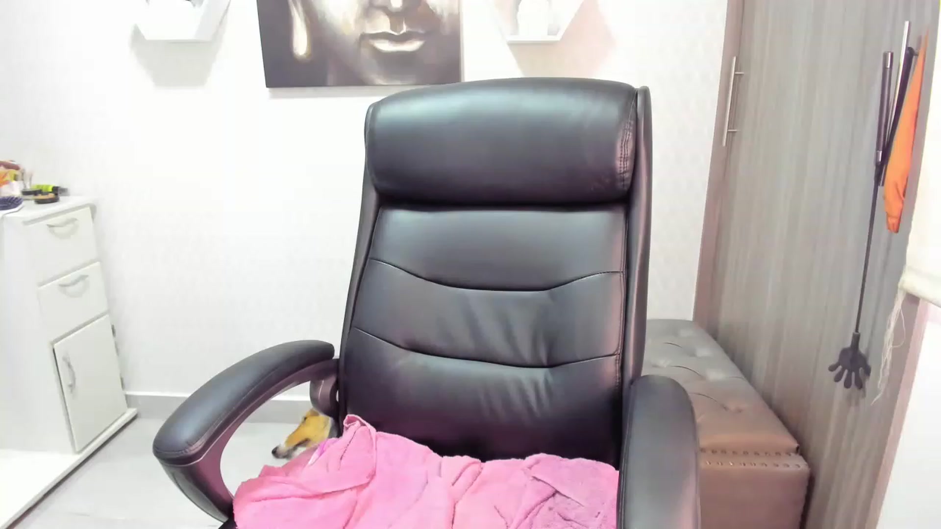 Gallery image thumbnail from Susan_lane's myfreecams stream on, 04/20/2023, 15:36 image 5 of 20