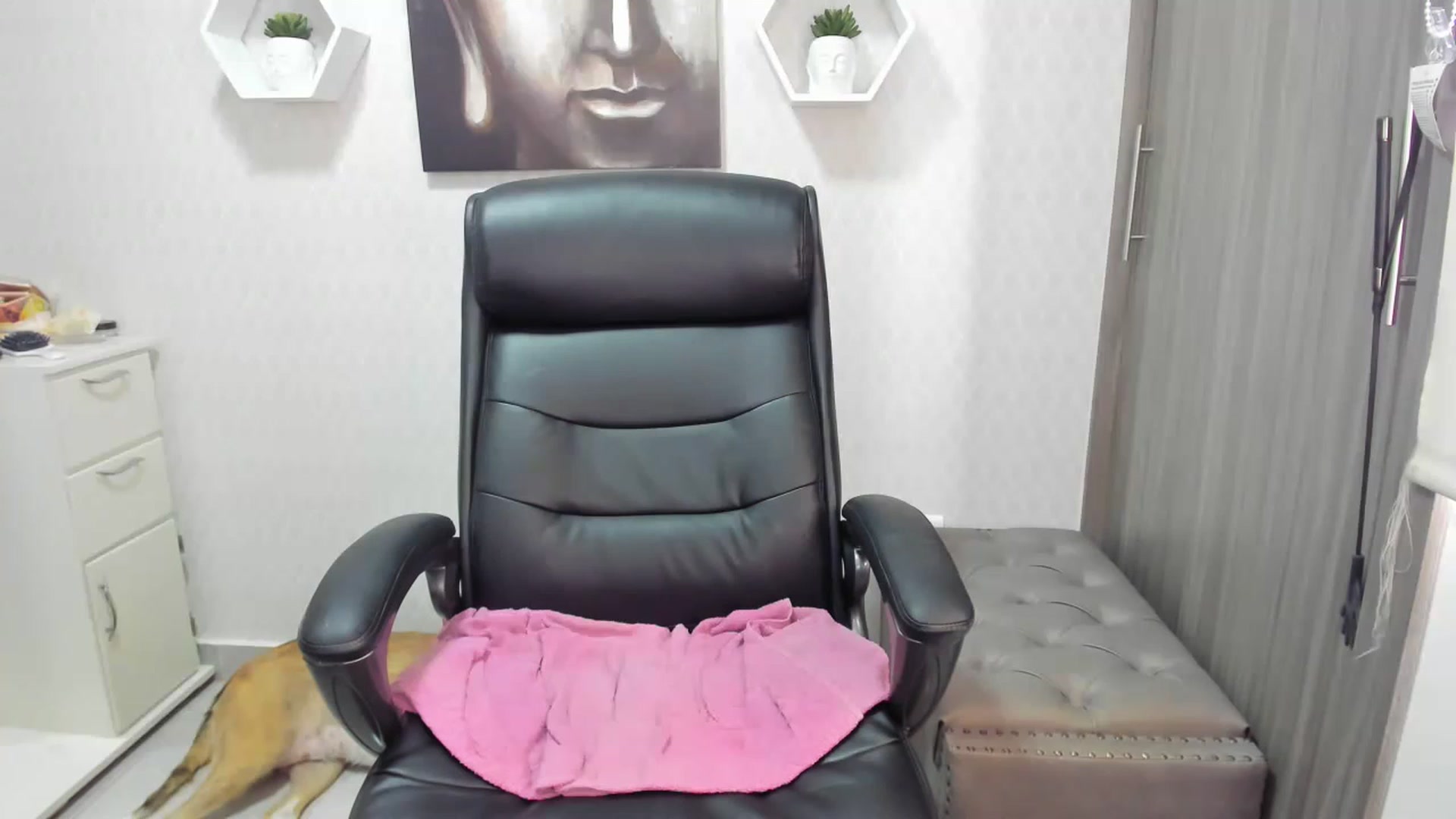 Gallery image thumbnail from Susan_lane's myfreecams stream on, 04/27/2023, 14:53 image 6 of 20