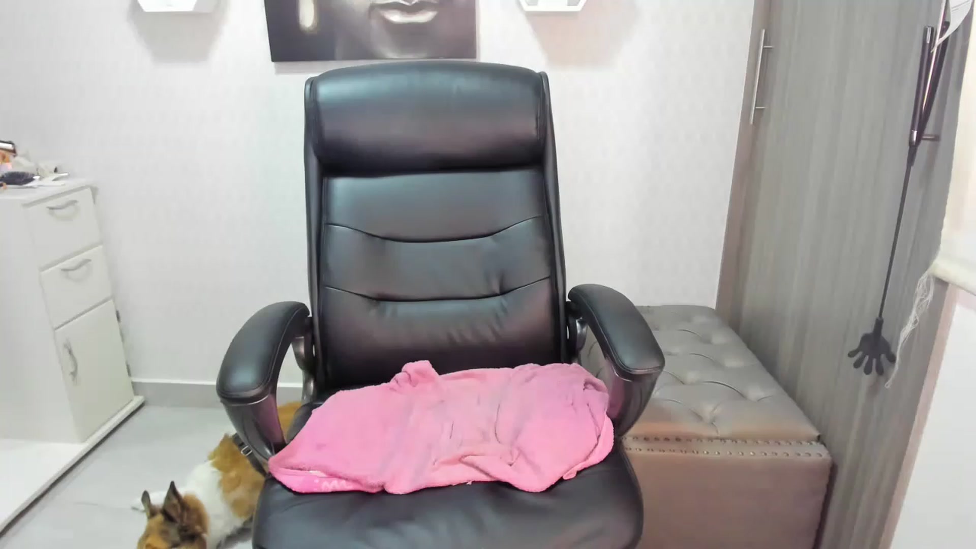 Gallery image thumbnail from Susan_lane's myfreecams stream on, 05/15/2023, 19:22 image 1 of 20