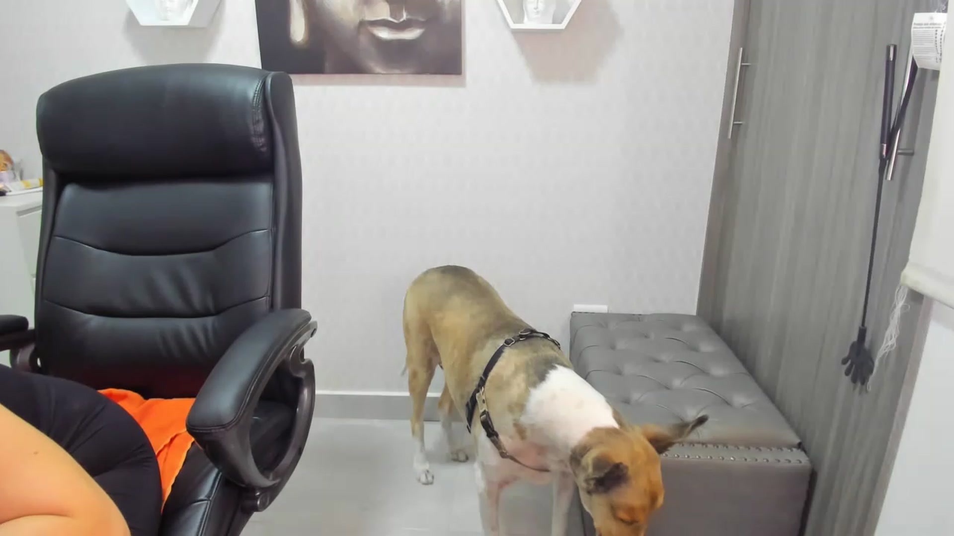Gallery image thumbnail from Susan_lane's myfreecams stream on, 06/01/2023, 16:40 image 10 of 20