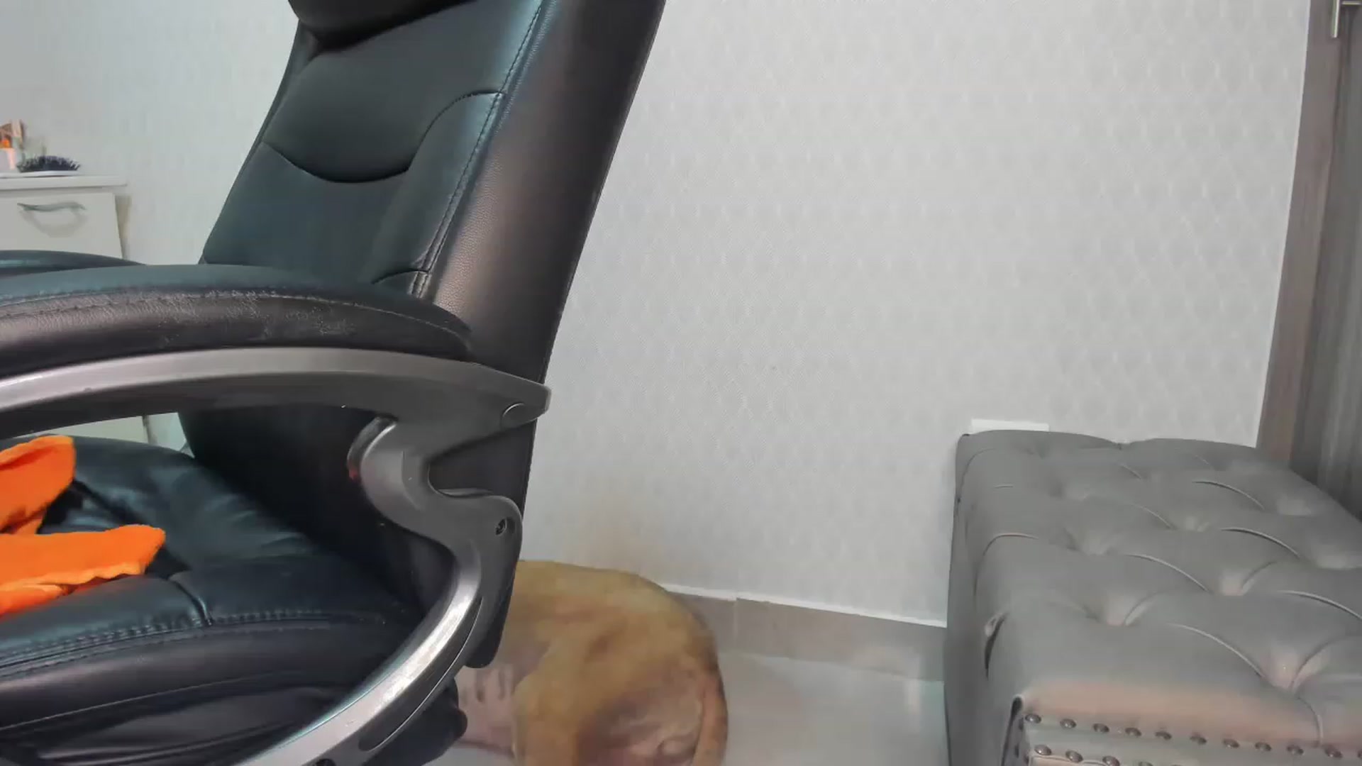 Gallery image thumbnail from Susan_lane's myfreecams stream on, 06/06/2023, 04:37 image 14 of 20