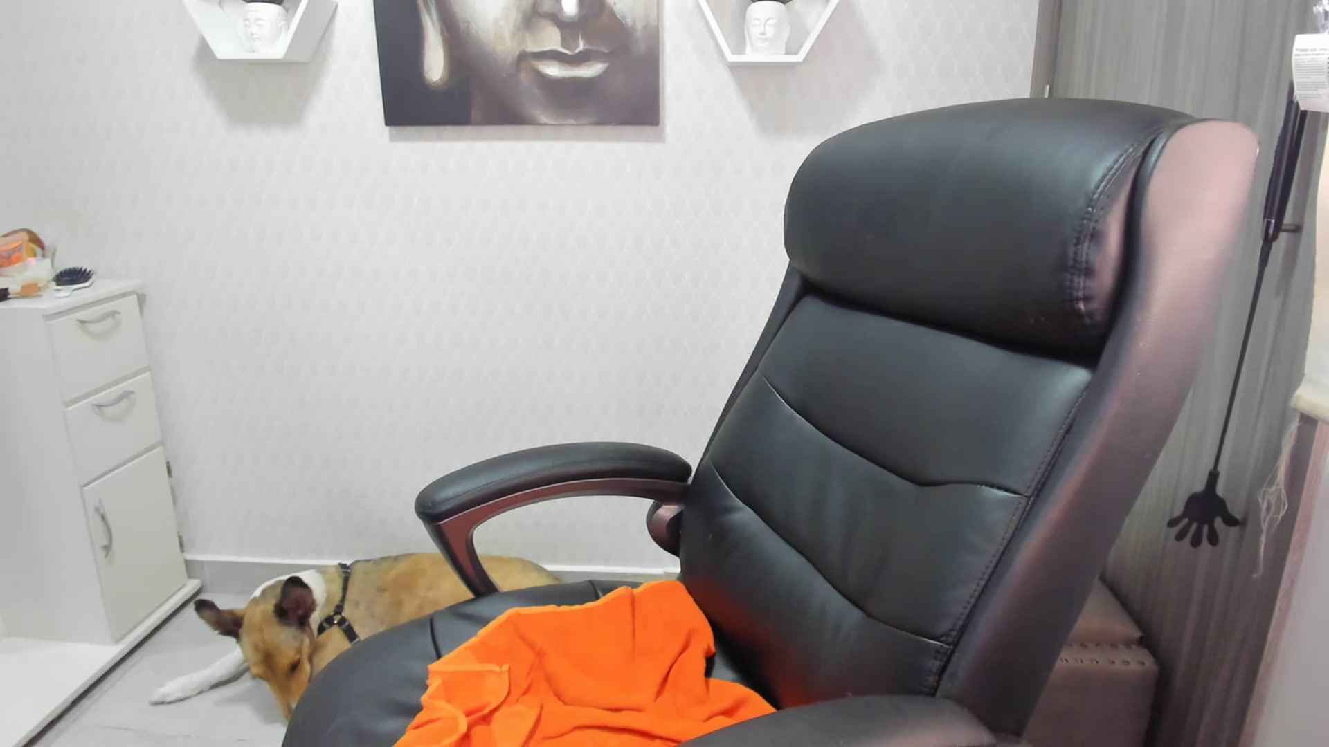 Gallery image thumbnail from Susan_lane's myfreecams stream on, 06/09/2023, 16:56 image 11 of 20