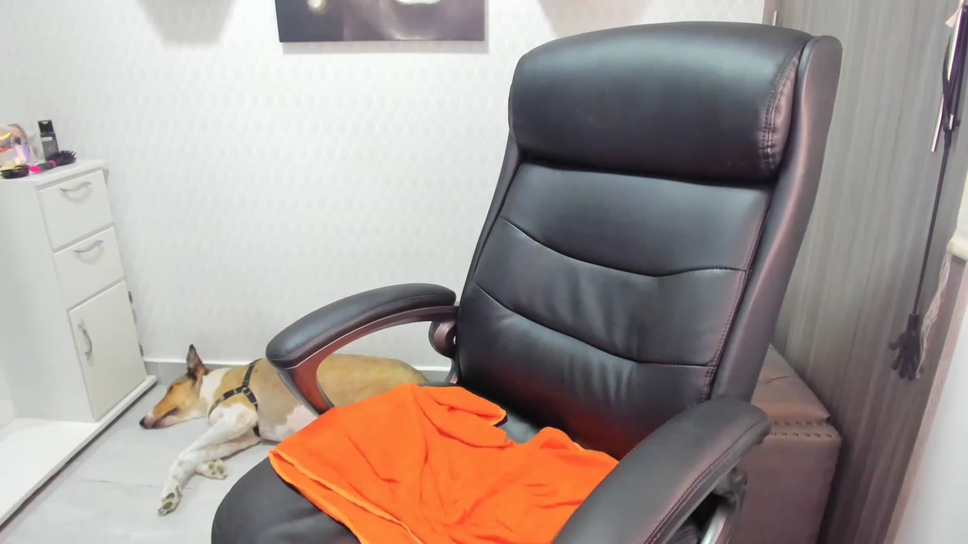 Gallery image thumbnail from Susan_lane's myfreecams stream on, 06/14/2023, 16:36 image 9 of 20