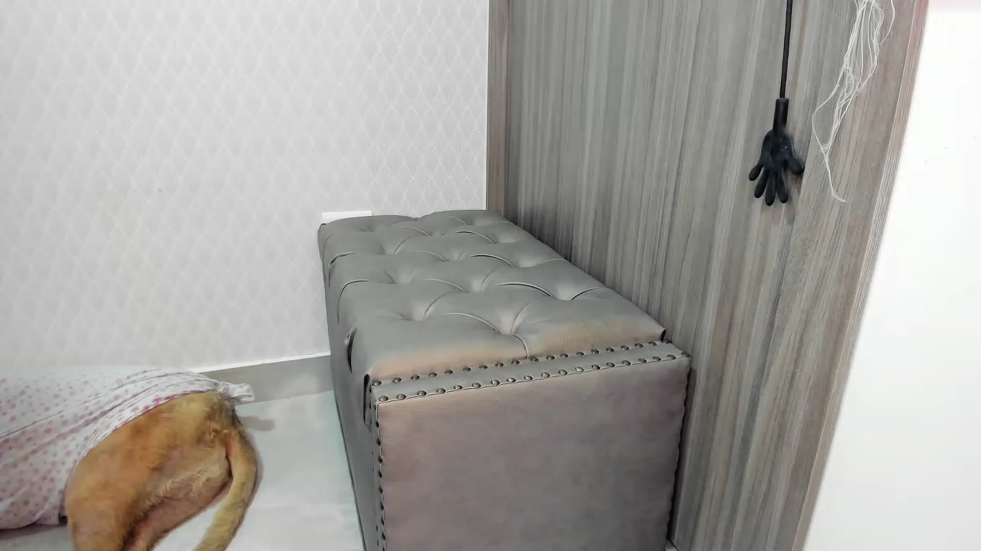 Gallery image thumbnail from Susan_lane's myfreecams stream on, 06/21/2023, 04:09 image 20 of 20
