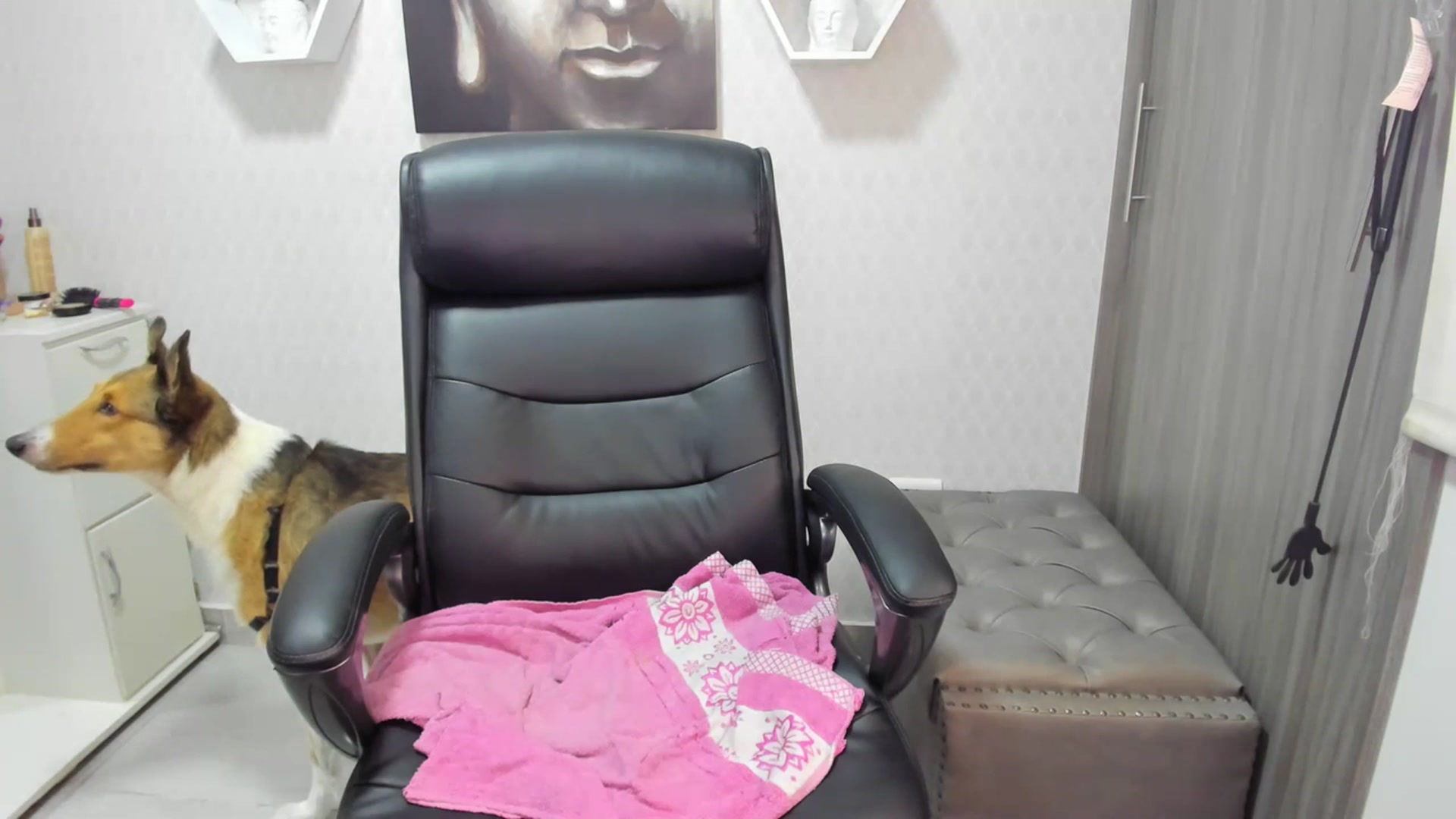 Gallery image thumbnail from Susan_lane's myfreecams stream on, 07/10/2023, 04:04 image 18 of 20
