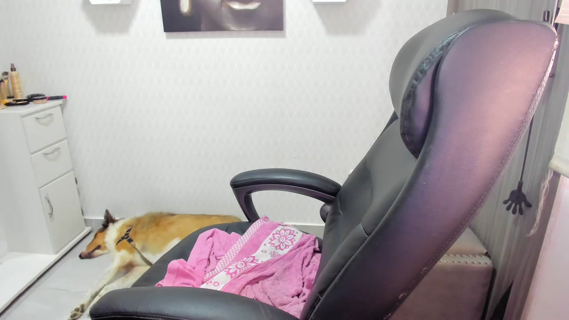 Gallery image thumbnail from Susan_lane's myfreecams stream on, 08/12/2023, 17:52 image 5 of 20