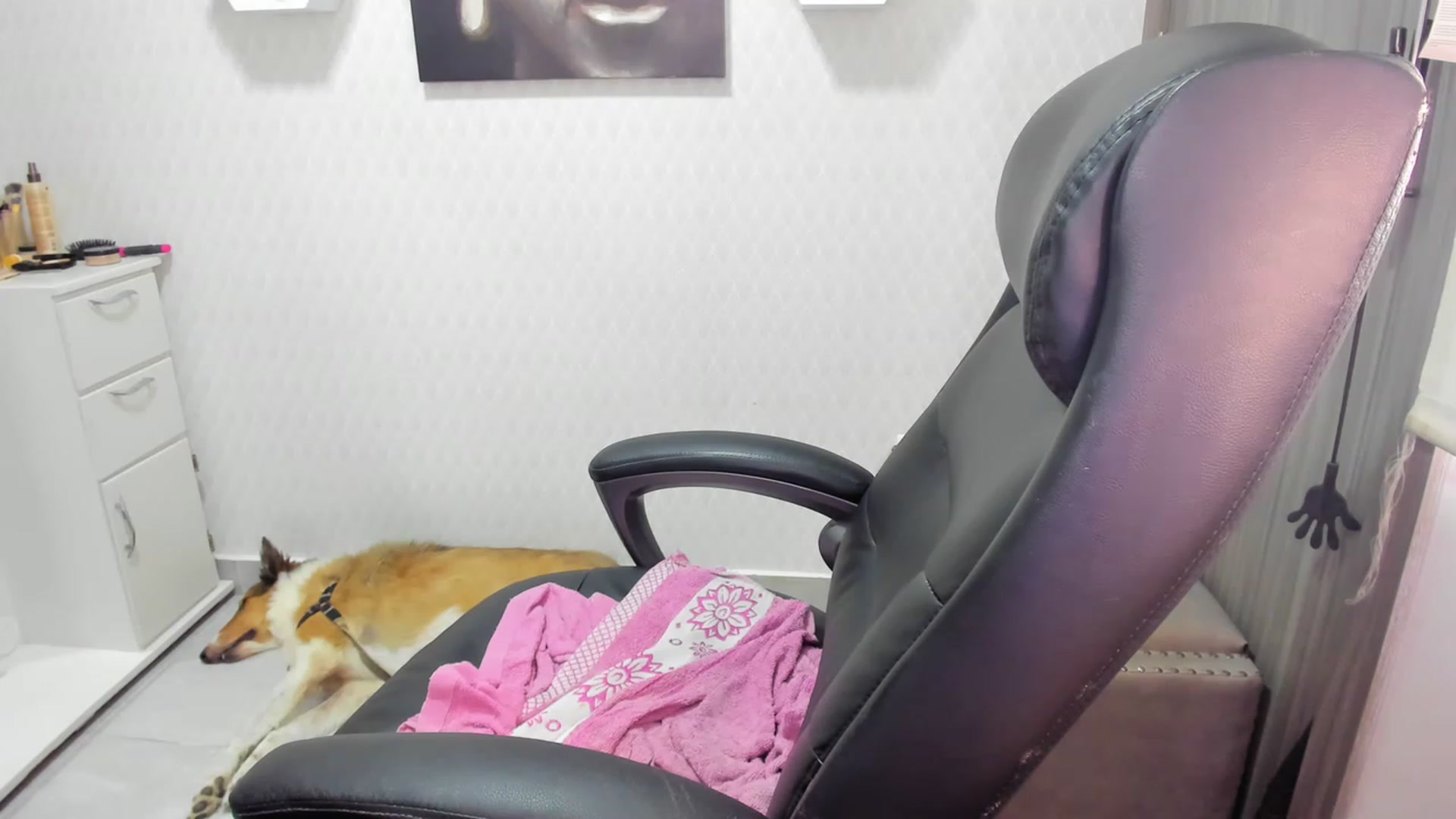 Gallery image thumbnail from Susan_lane's myfreecams stream on, 08/12/2023, 17:52 image 8 of 20