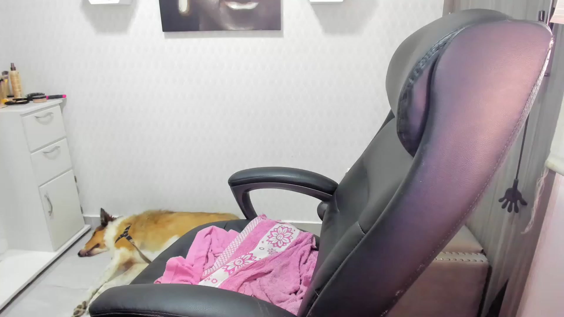 Gallery image thumbnail from Susan_lane's myfreecams stream on, 08/12/2023, 17:52 image 7 of 20