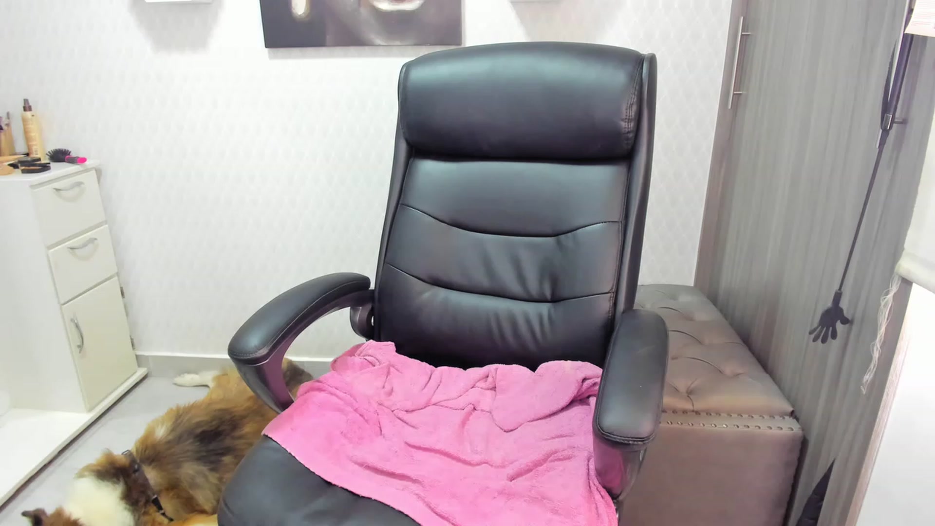 Gallery image thumbnail from Susan_lane's myfreecams stream on, 08/14/2023, 17:24 image 2 of 20