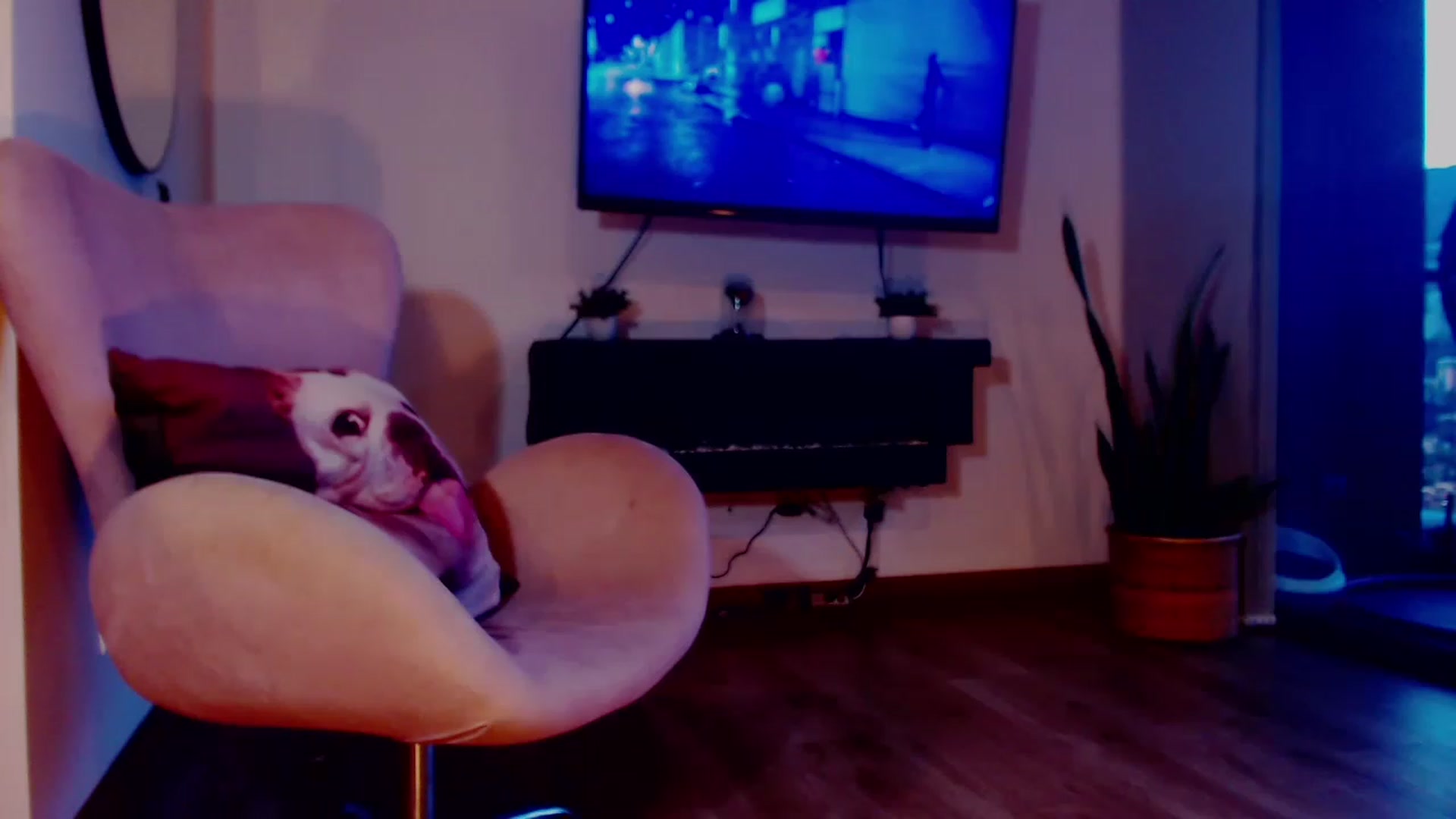 Gallery image thumbnail from SusyHernandez's myfreecams stream on, 06/29/2023, 24:00 image 5 of 20
