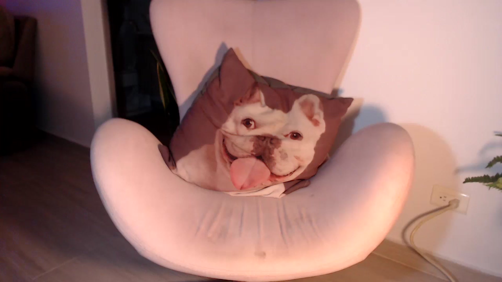 Gallery image thumbnail from SusyHernandez's myfreecams stream on, 12/02/2024, 06:15 image 14 of 20