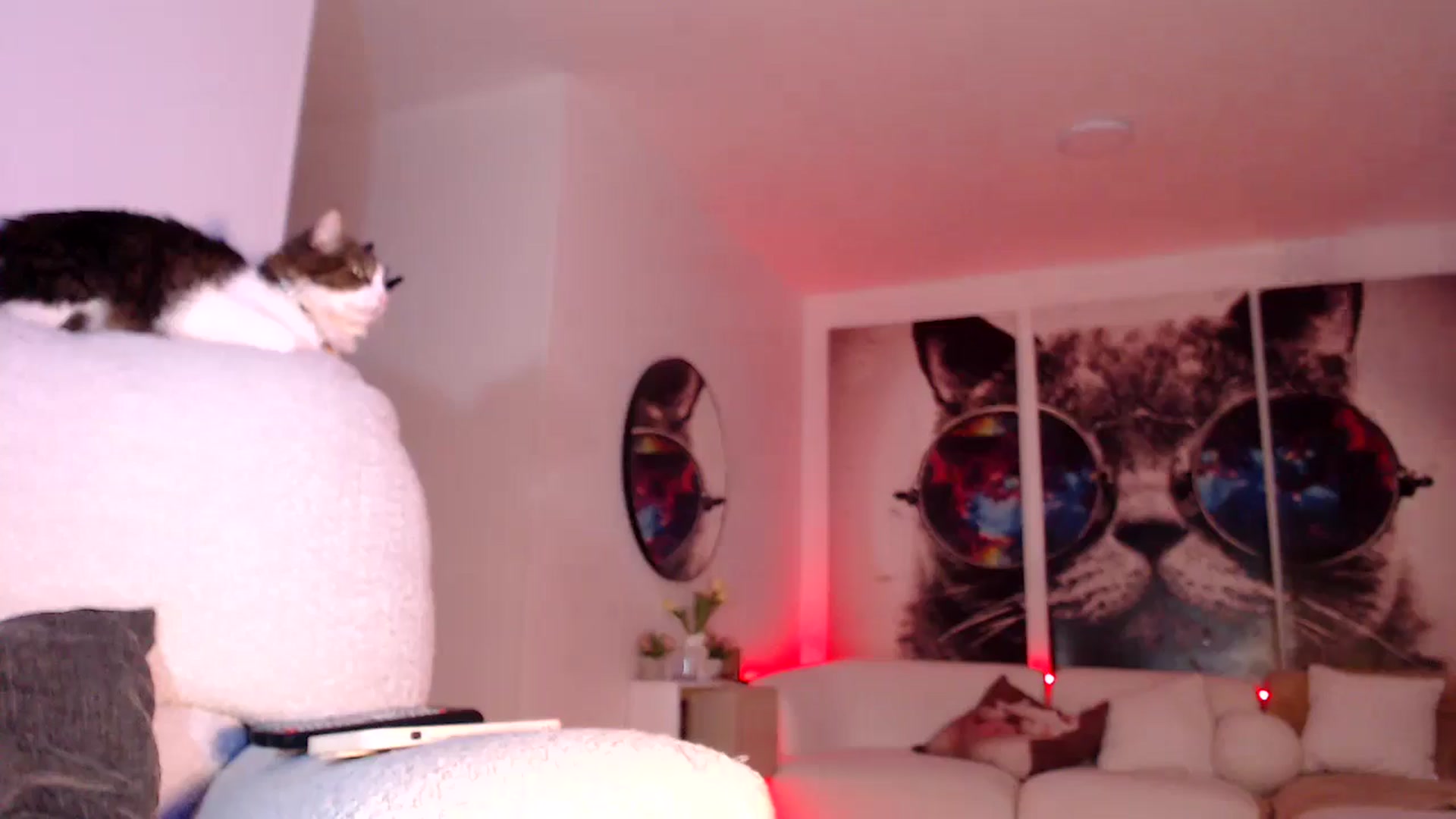 Gallery image thumbnail from SusyHernandez's myfreecams stream on, 06/09/2025, 01:43 image 11 of 20