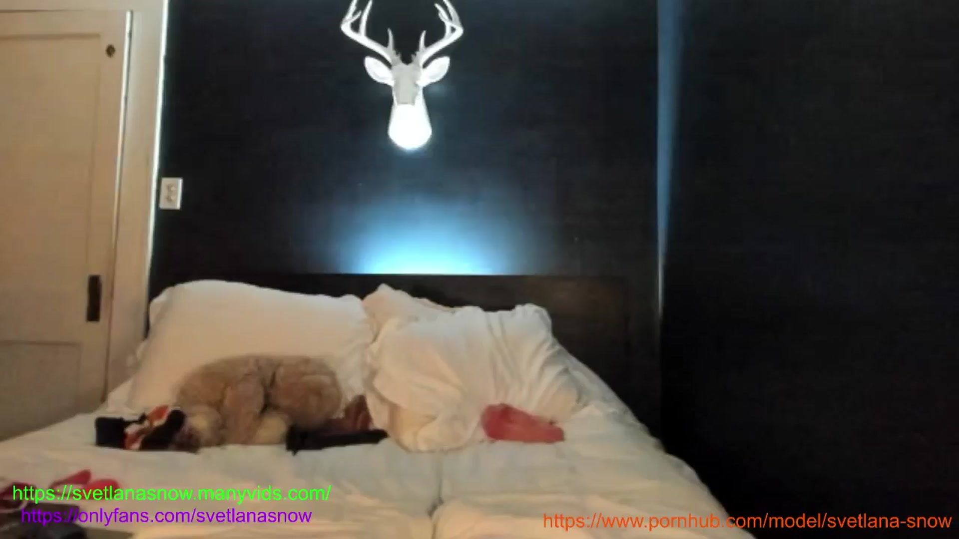 Gallery image thumbnail from SvetlanaSnow's myfreecams stream on, 12/19/2024, 08:23 image 3 of 20