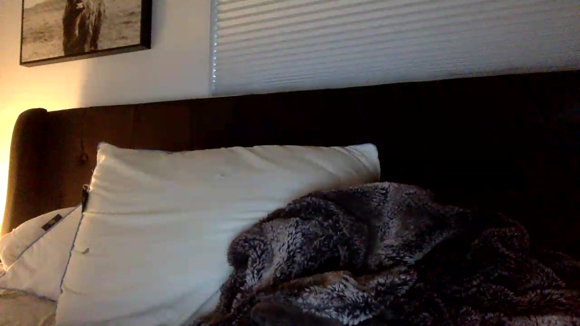 Gallery image thumbnail from Svm3_K1n6's myfreecams stream on, 07/04/2026, 02:38 image 13 of 20