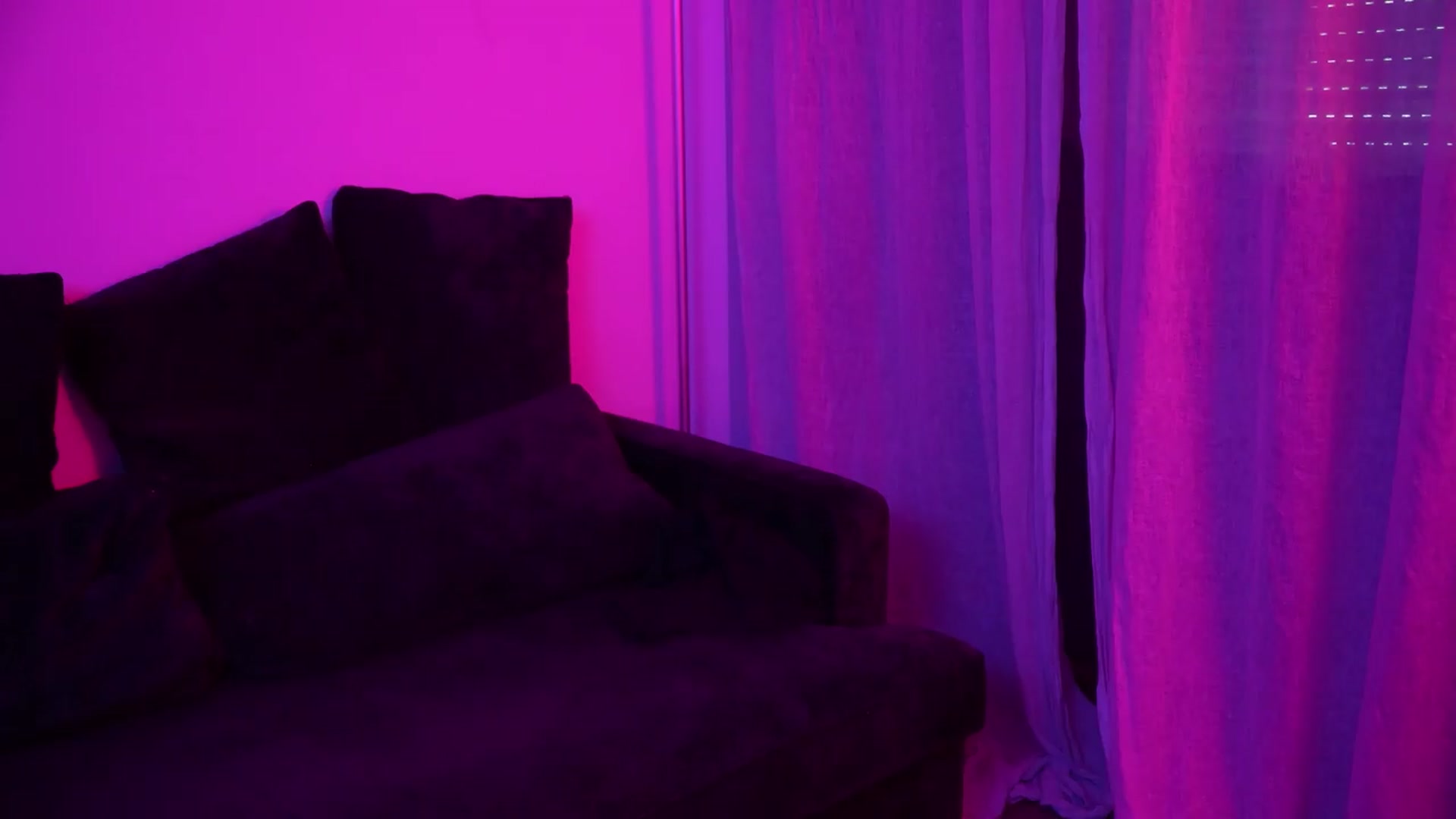 Gallery image thumbnail from Sw33t_g1rl's myfreecams stream on, 08/16/2026, 14:36 image 13 of 20