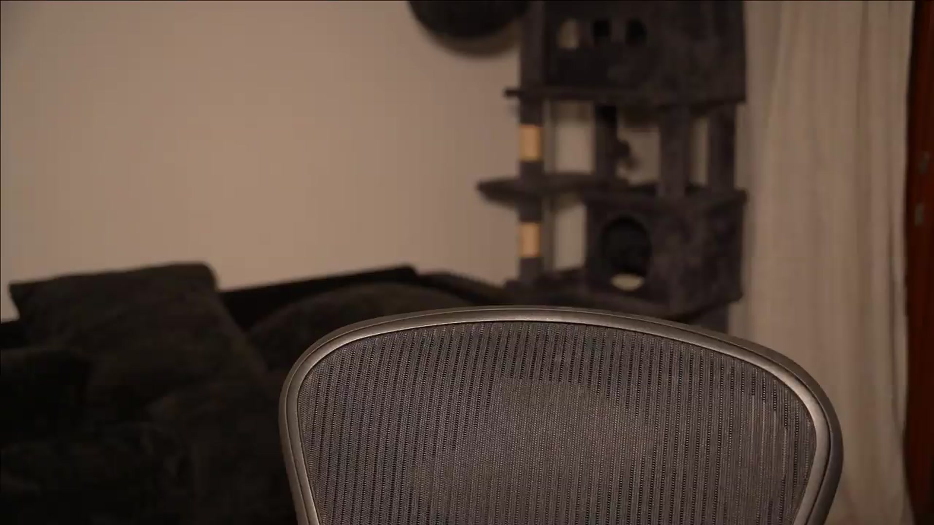 Gallery image thumbnail from Sw33t_g1rl's myfreecams stream on, 08/29/2026, 19:11 image 10 of 20