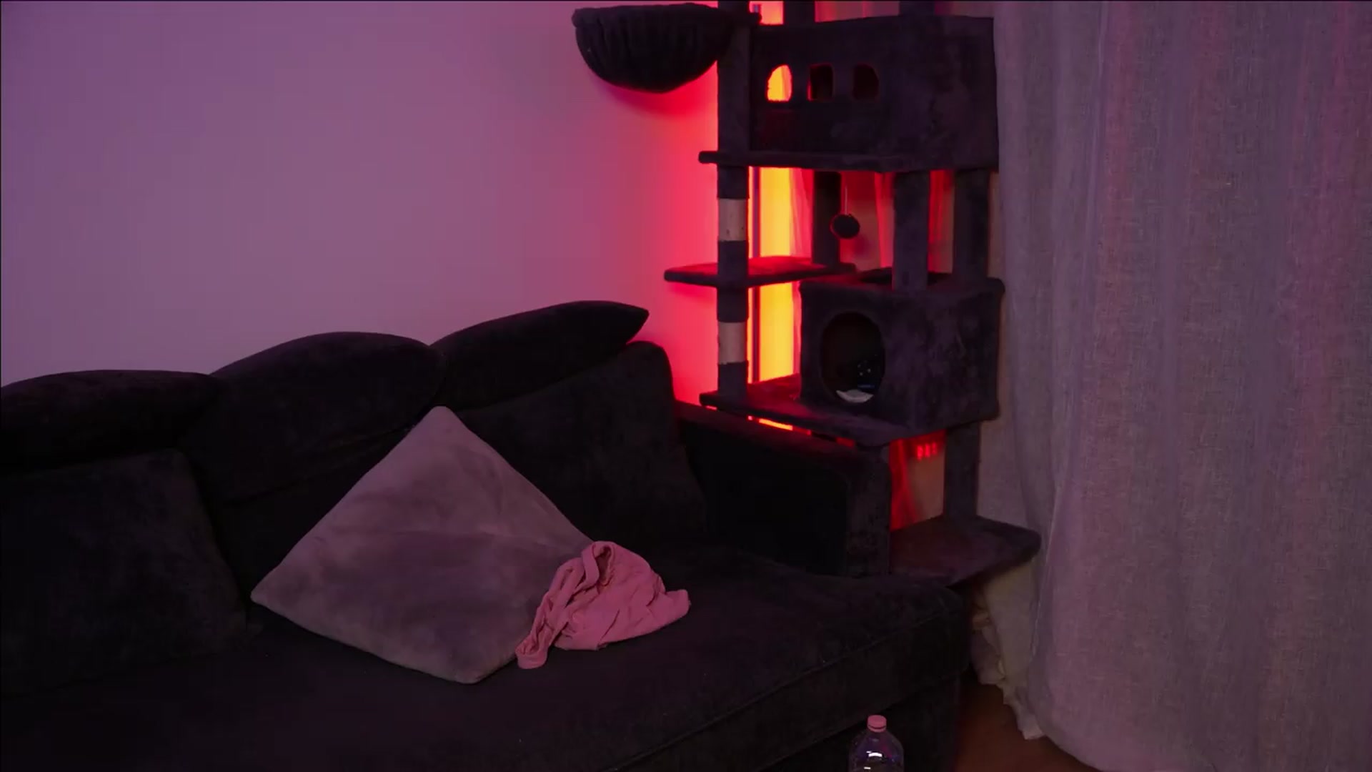 Gallery image thumbnail from Sw33t_g1rl's myfreecams stream on, 08/30/2026, 18:31 image 15 of 20