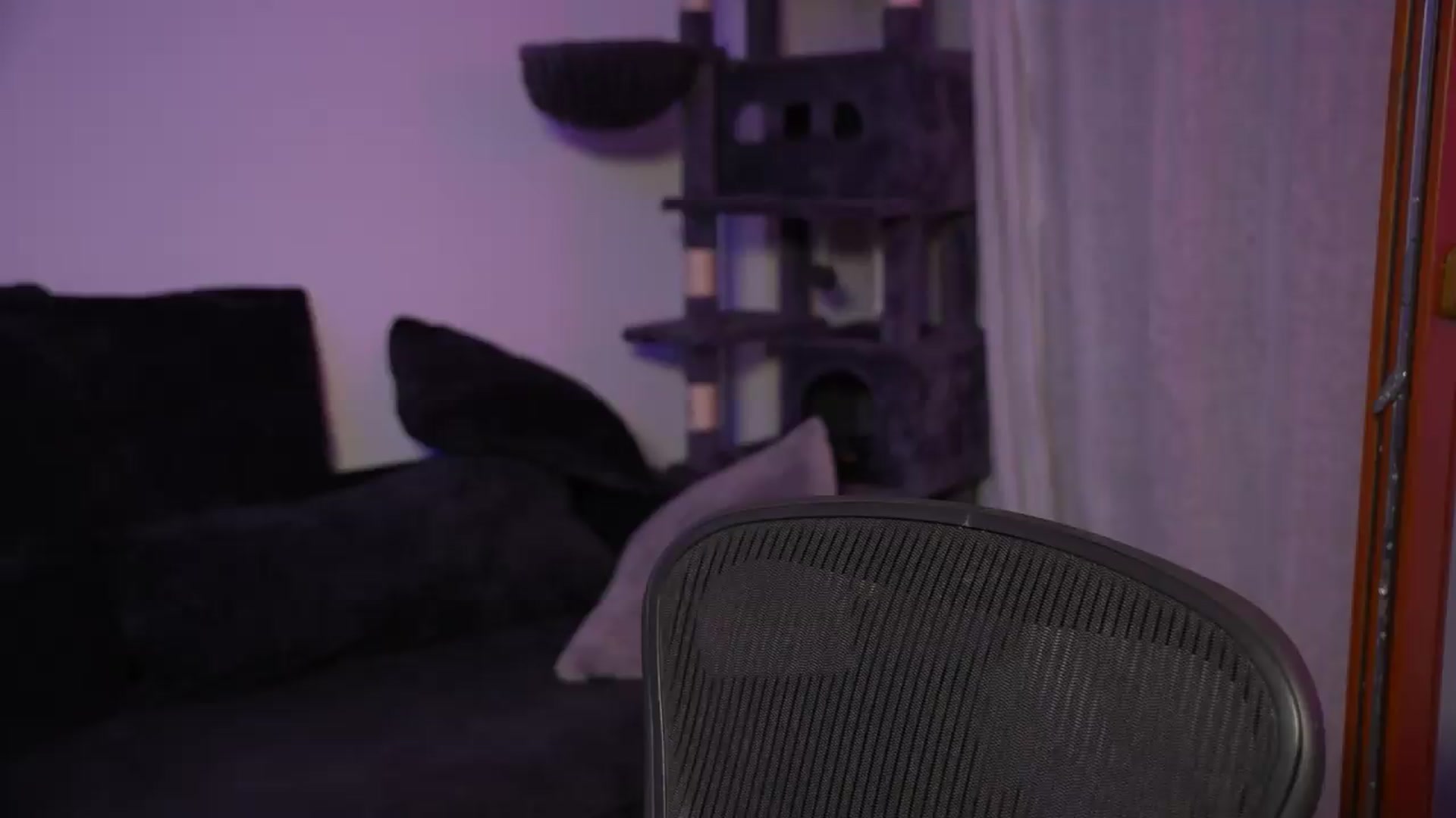 Gallery image thumbnail from Sw33t_g1rl's myfreecams stream on, 09/05/2026, 20:46 image 12 of 20