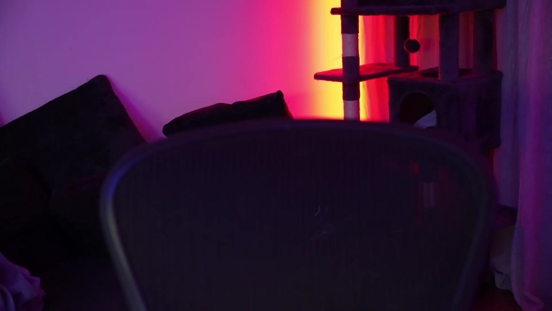 Gallery image thumbnail from Sw33t_g1rl's myfreecams stream on, 09/21/2026, 03:43 image 9 of 20