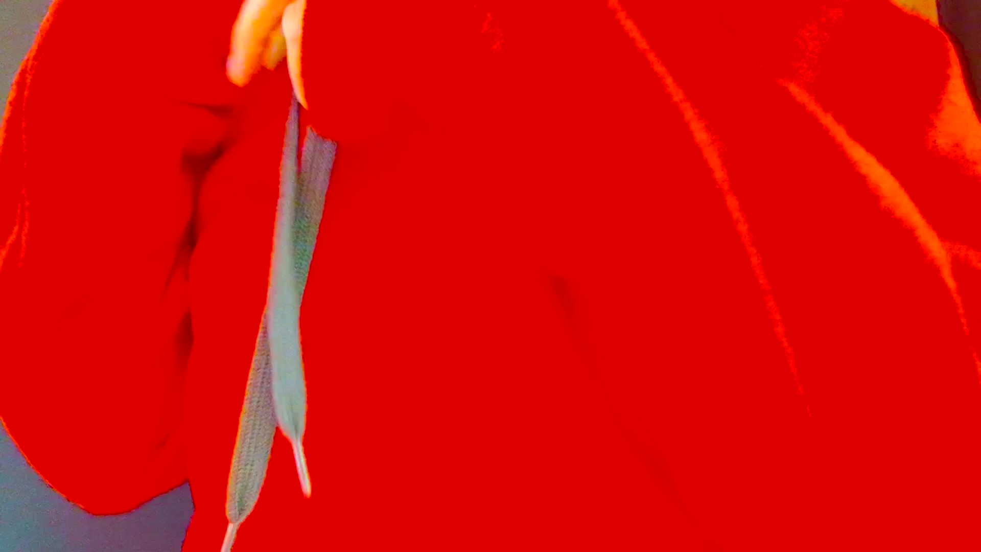 Gallery image thumbnail from SweetDazzle's myfreecams stream on, 03/21/2025, 11:36 image 10 of 20