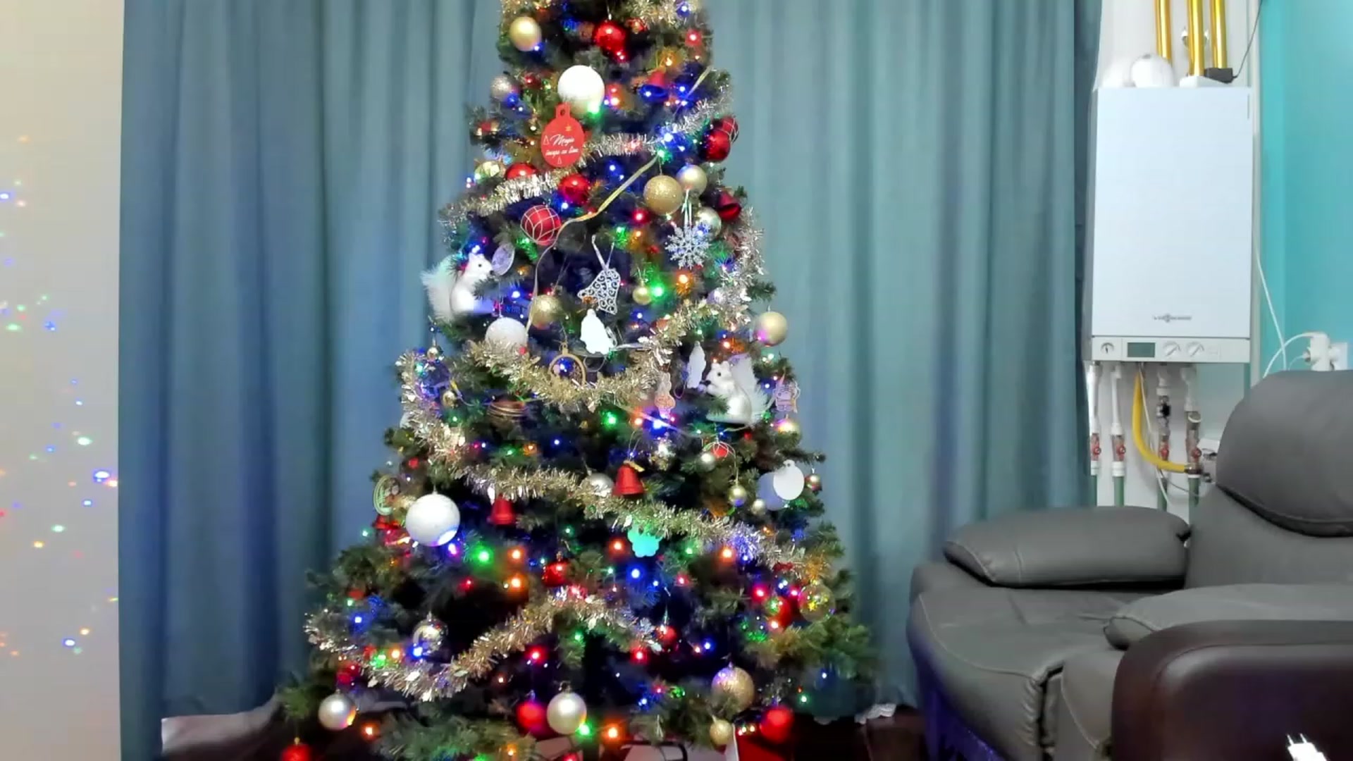 Gallery image thumbnail from SweetDelia_'s myfreecams stream on, 12/13/2023, 12:17 image 15 of 20