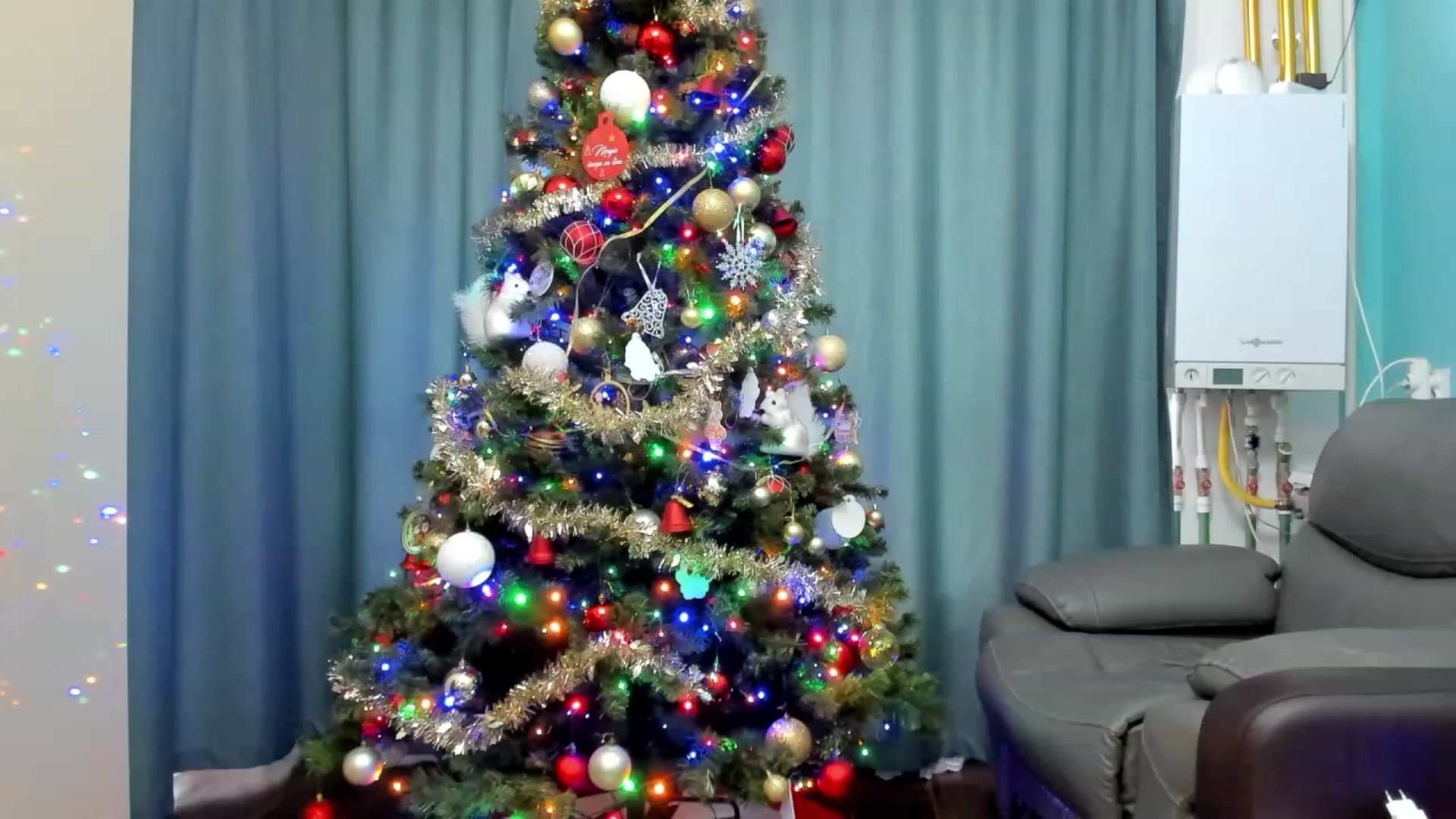 Gallery image thumbnail from SweetDelia_'s myfreecams stream on, 12/13/2023, 12:17 image 13 of 20