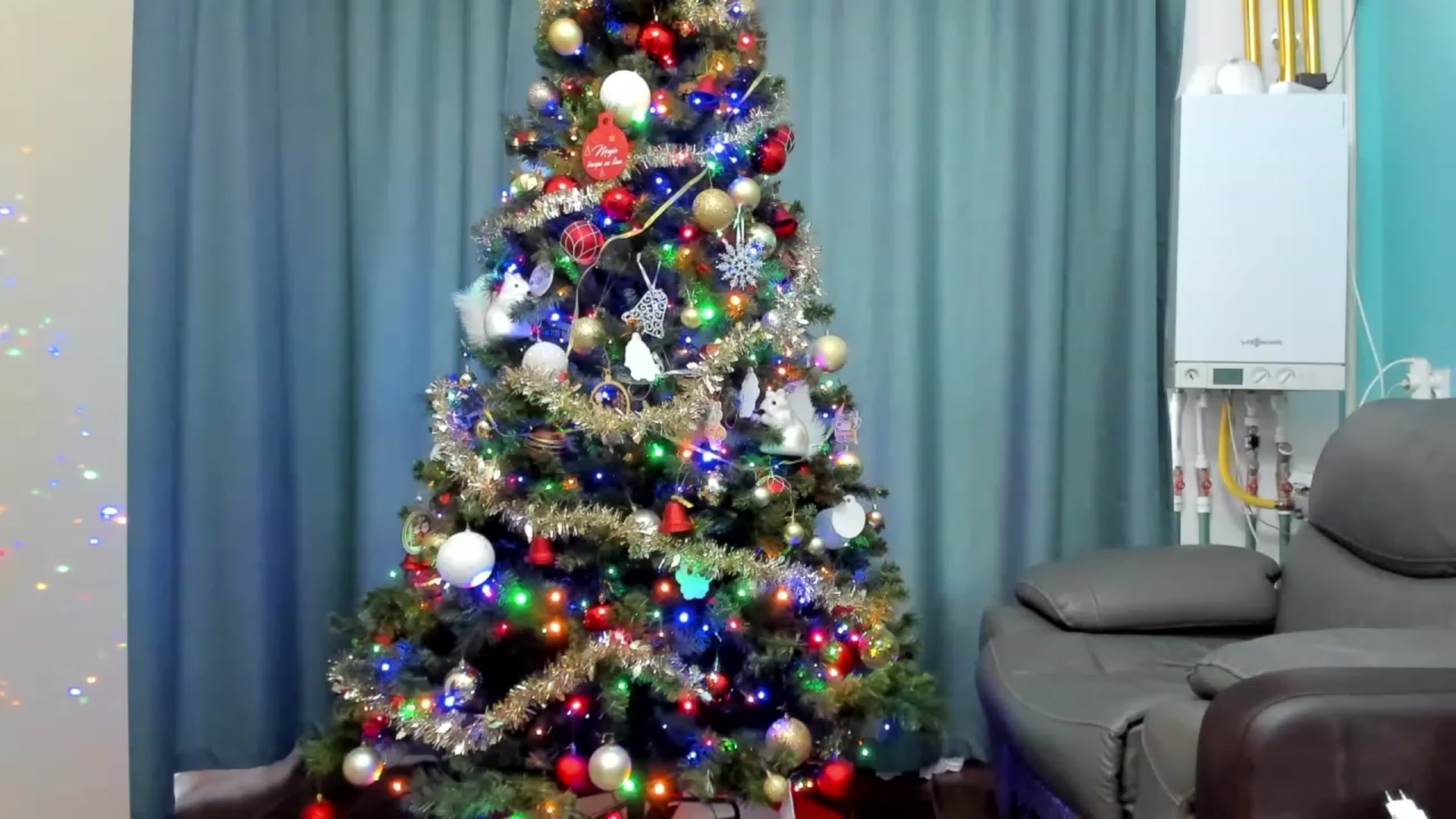 Gallery image thumbnail from SweetDelia_'s myfreecams stream on, 12/13/2023, 12:17 image 16 of 20