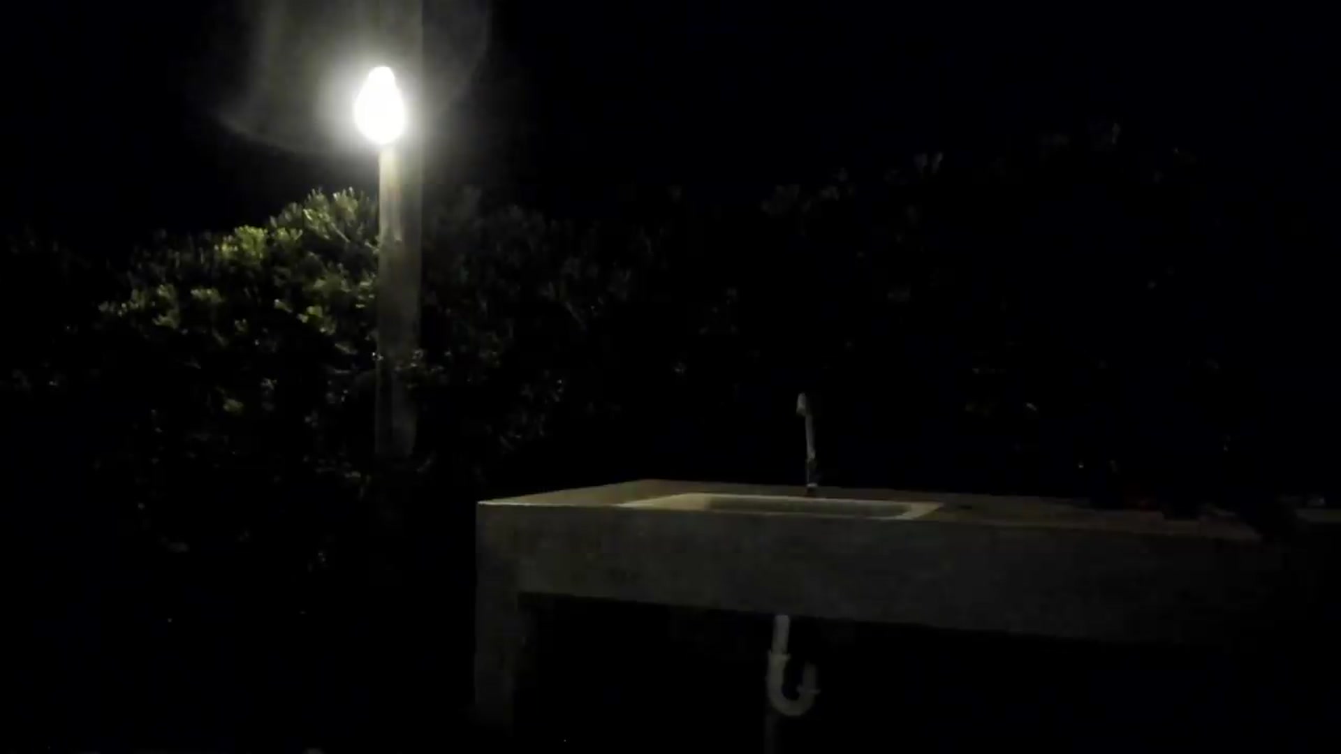 Gallery image thumbnail from SweetDelia_'s myfreecams stream on, 07/23/2026, 24:01 image 5 of 20