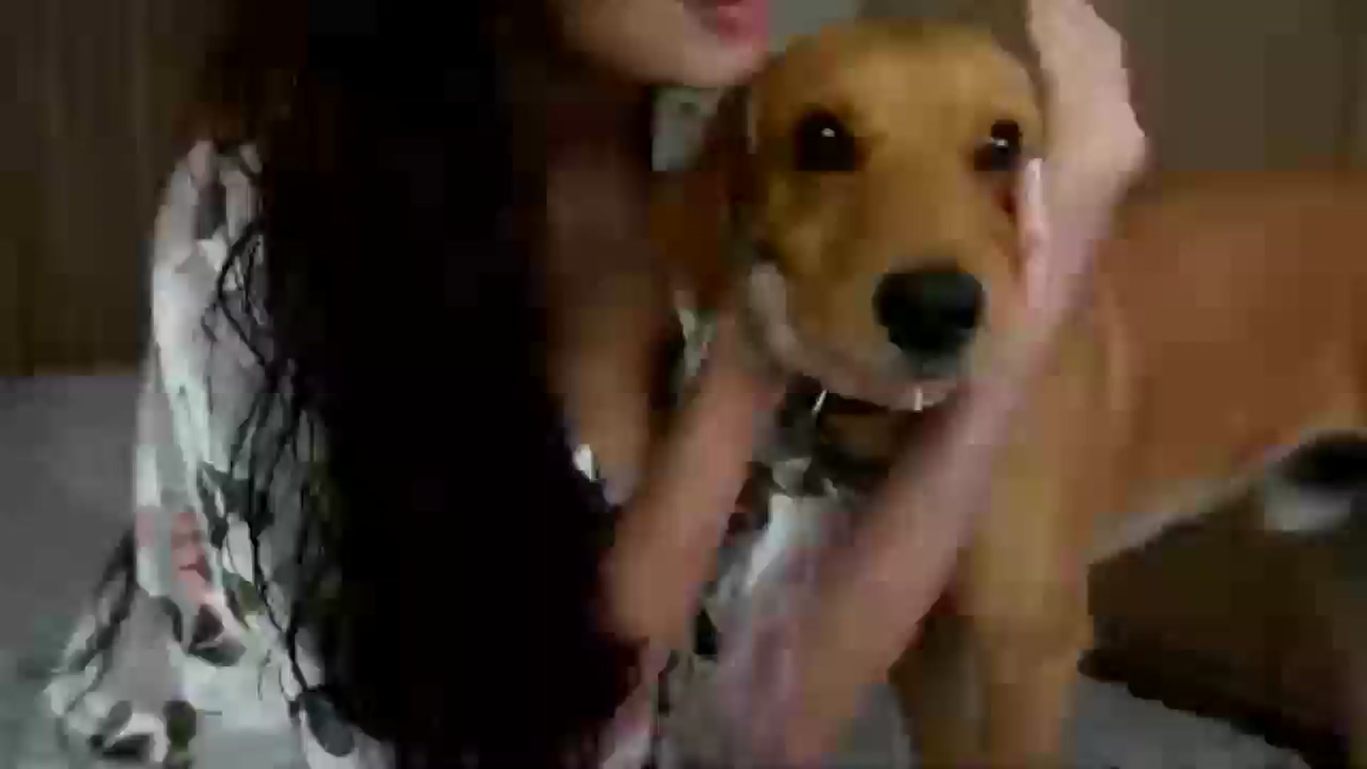 Gallery image thumbnail from SweetEllie's myfreecams stream on, 02/25/2026, 24:39 image 4 of 20