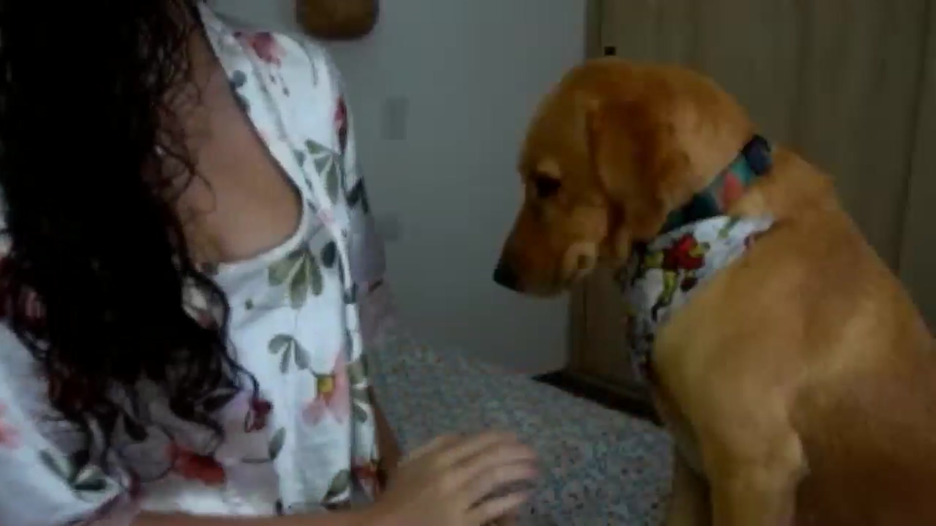 Gallery image thumbnail from SweetEllie's myfreecams stream on, 02/25/2026, 24:39 image 5 of 20