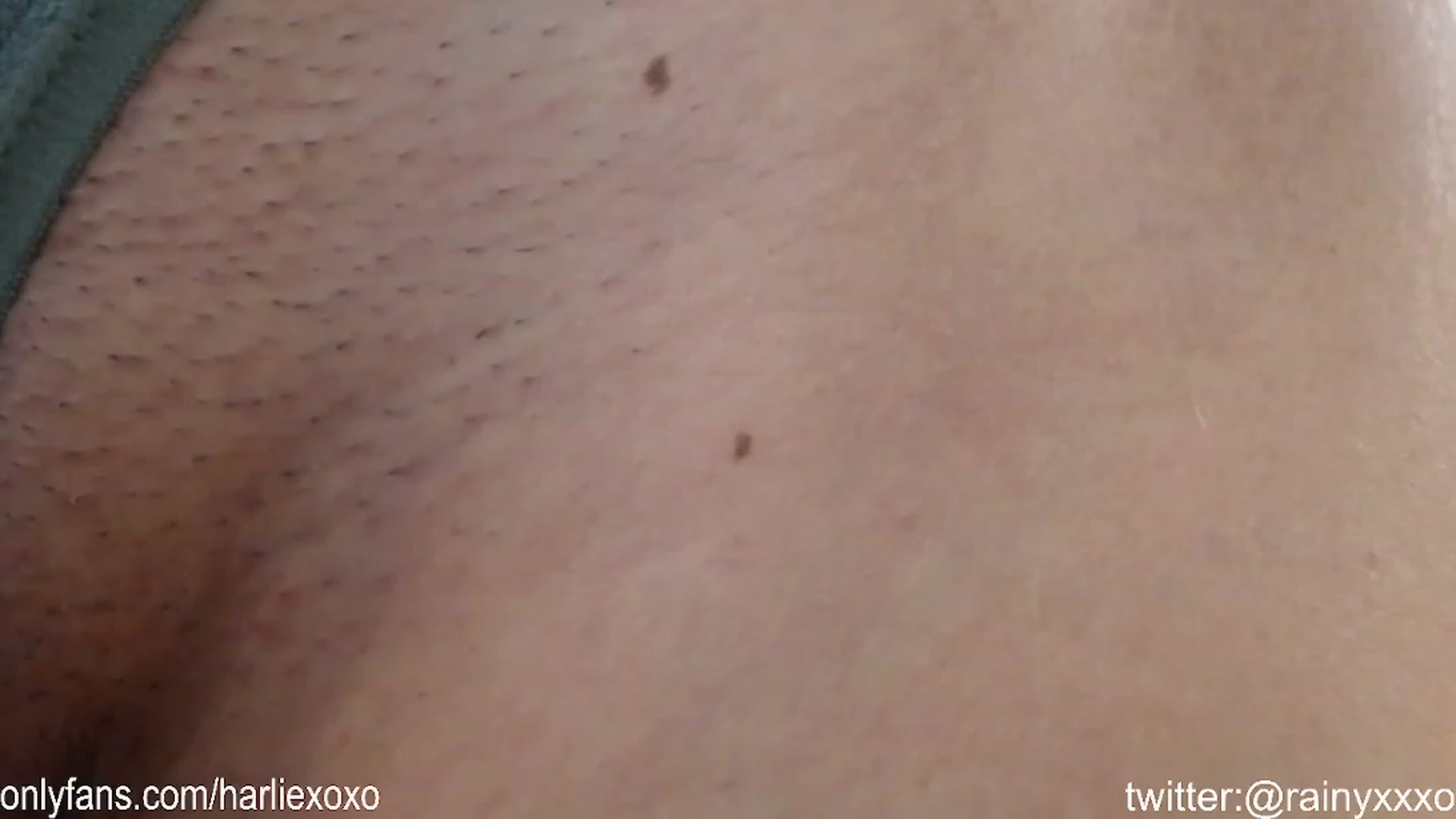 Gallery image thumbnail from SweetHarlie's myfreecams stream on, 01/27/2024, 22:36 image 15 of 20