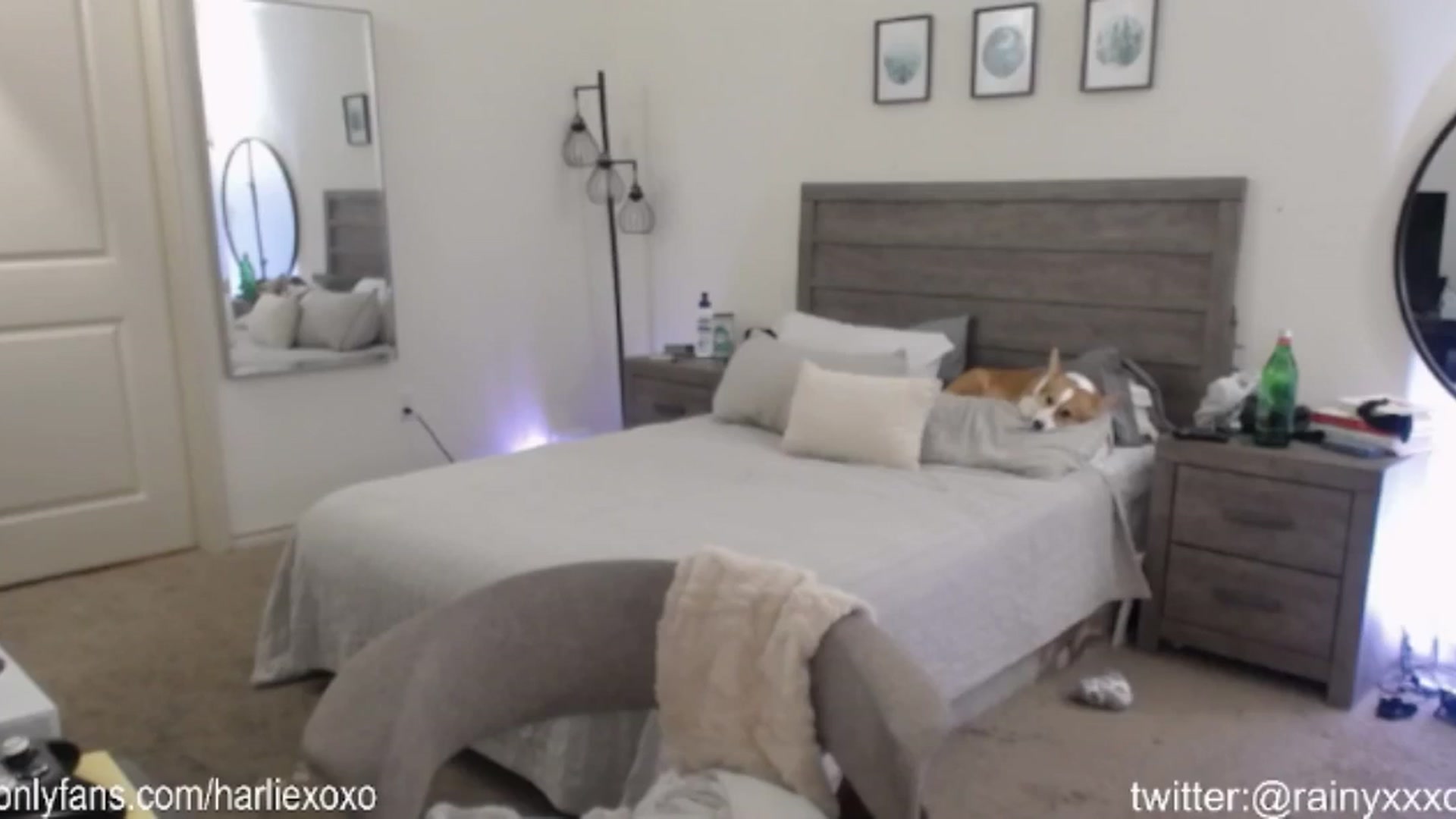 Gallery image thumbnail from SweetHarlie's myfreecams stream on, 07/25/2024, 22:15 image 17 of 20