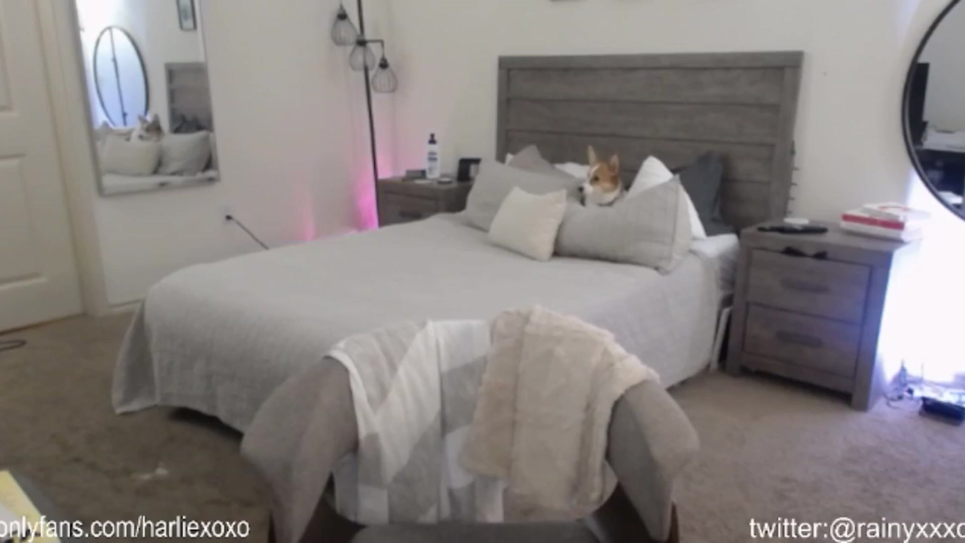 Gallery image thumbnail from SweetHarlie's myfreecams stream on, 07/29/2024, 23:51 image 3 of 20
