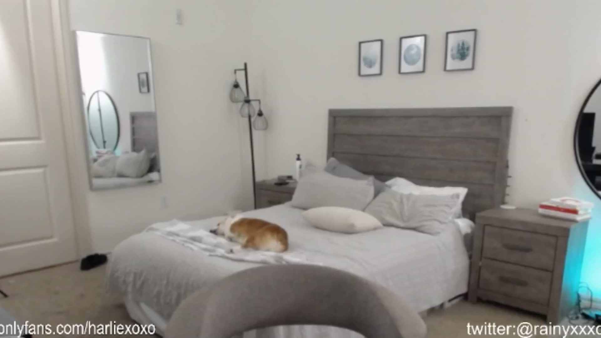 Gallery image thumbnail from SweetHarlie's myfreecams stream on, 08/20/2024, 17:31 image 11 of 20