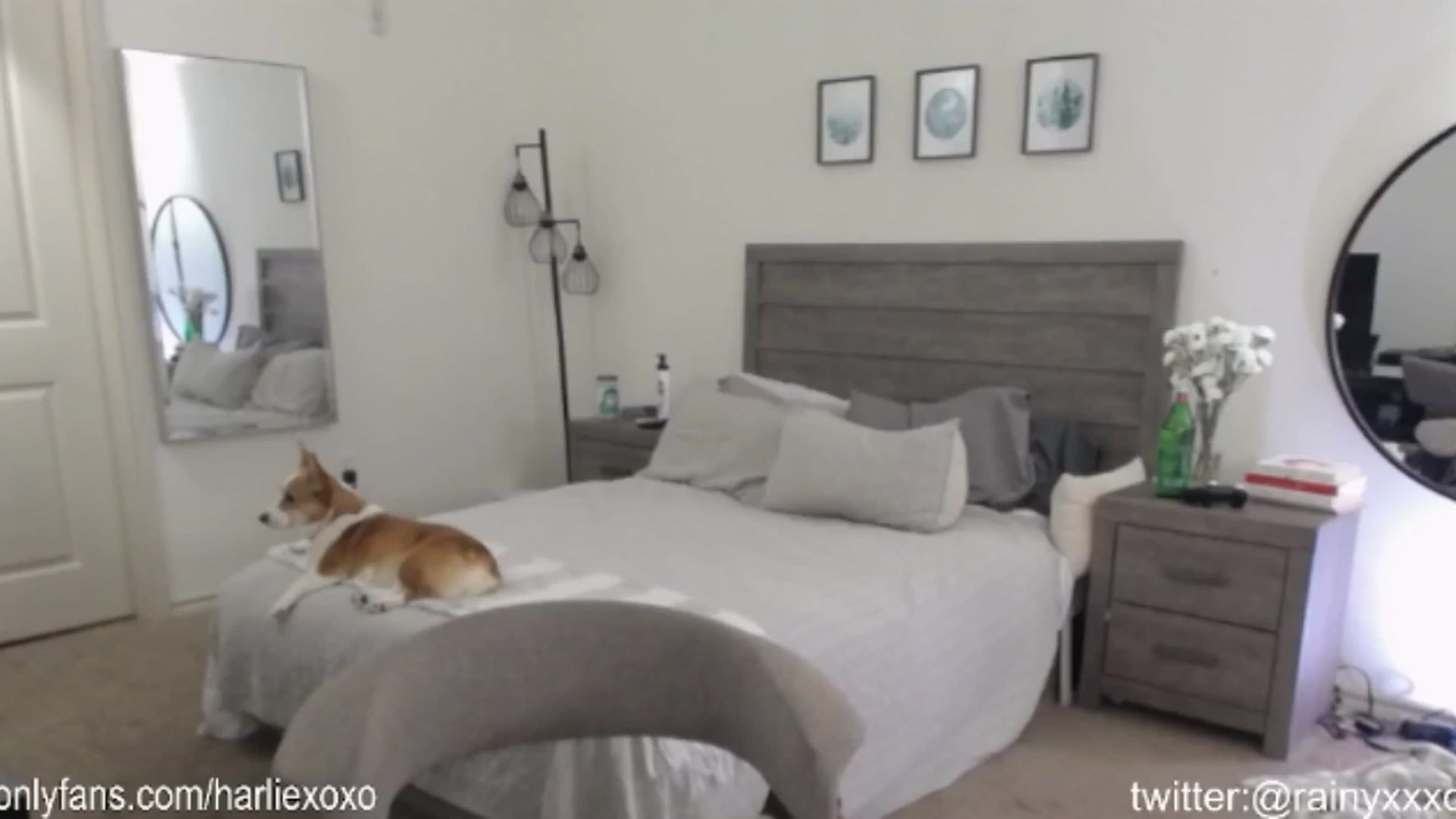 Gallery image thumbnail from SweetHarlie's myfreecams stream on, 08/24/2024, 20:20 image 4 of 20
