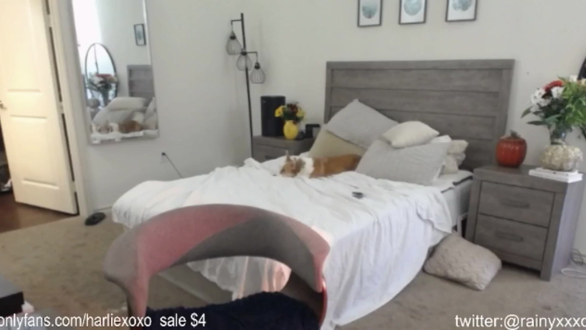 Gallery image thumbnail from SweetHarlie's myfreecams stream on, 09/27/2024, 02:08 image 10 of 20