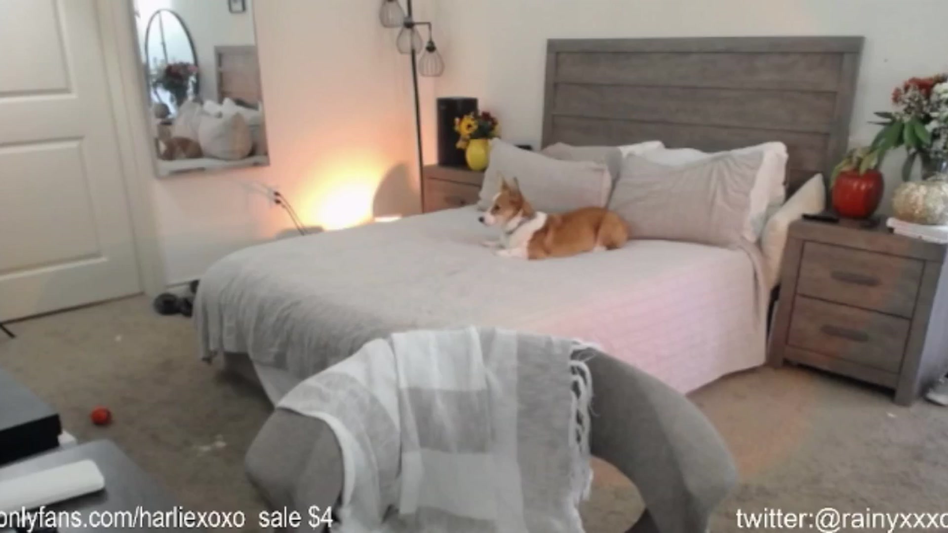 Gallery image thumbnail from SweetHarlie's myfreecams stream on, 10/02/2024, 24:05 image 10 of 20