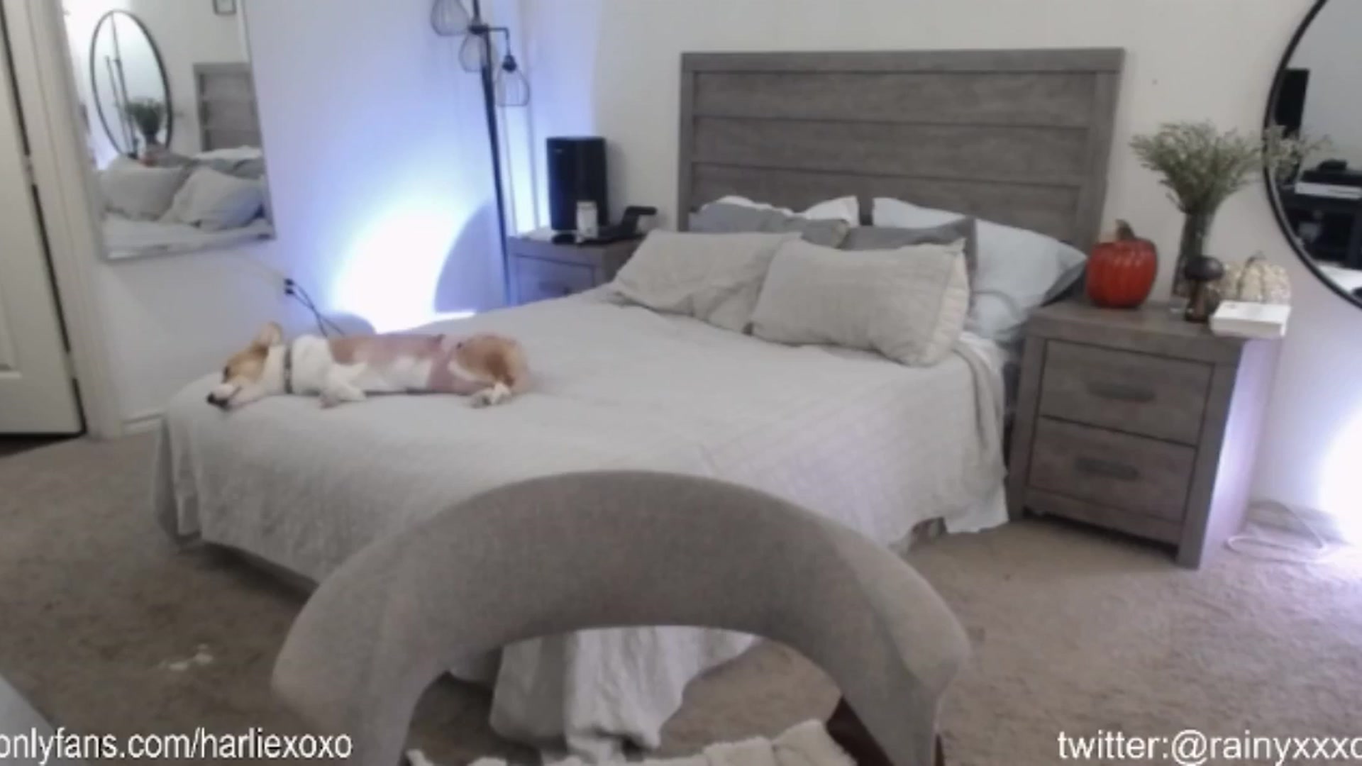 Gallery image thumbnail from SweetHarlie's myfreecams stream on, 10/24/2024, 23:56 image 15 of 20