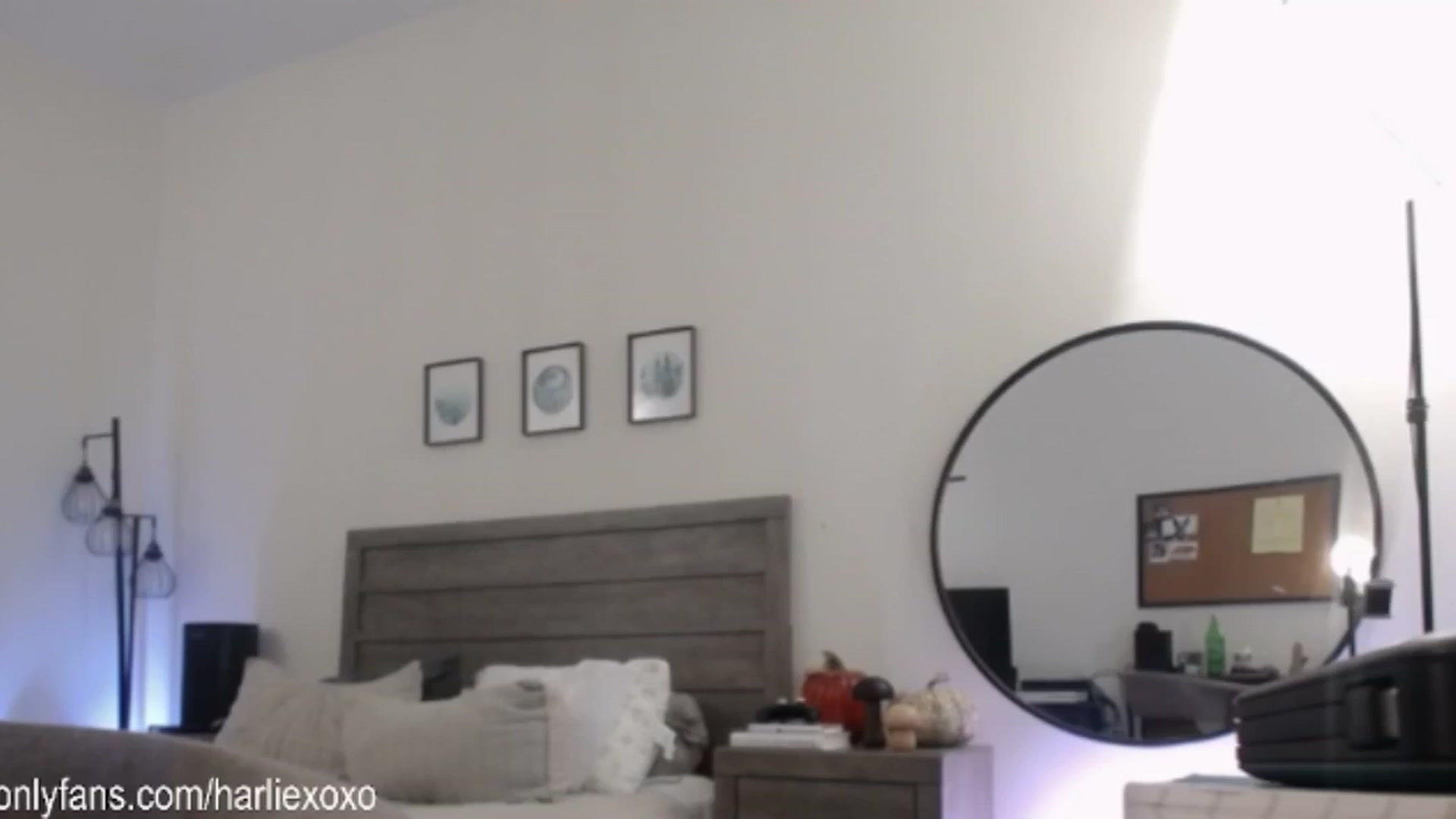 Gallery image thumbnail from SweetHarlie's myfreecams stream on, 11/26/2024, 24:01 image 6 of 20