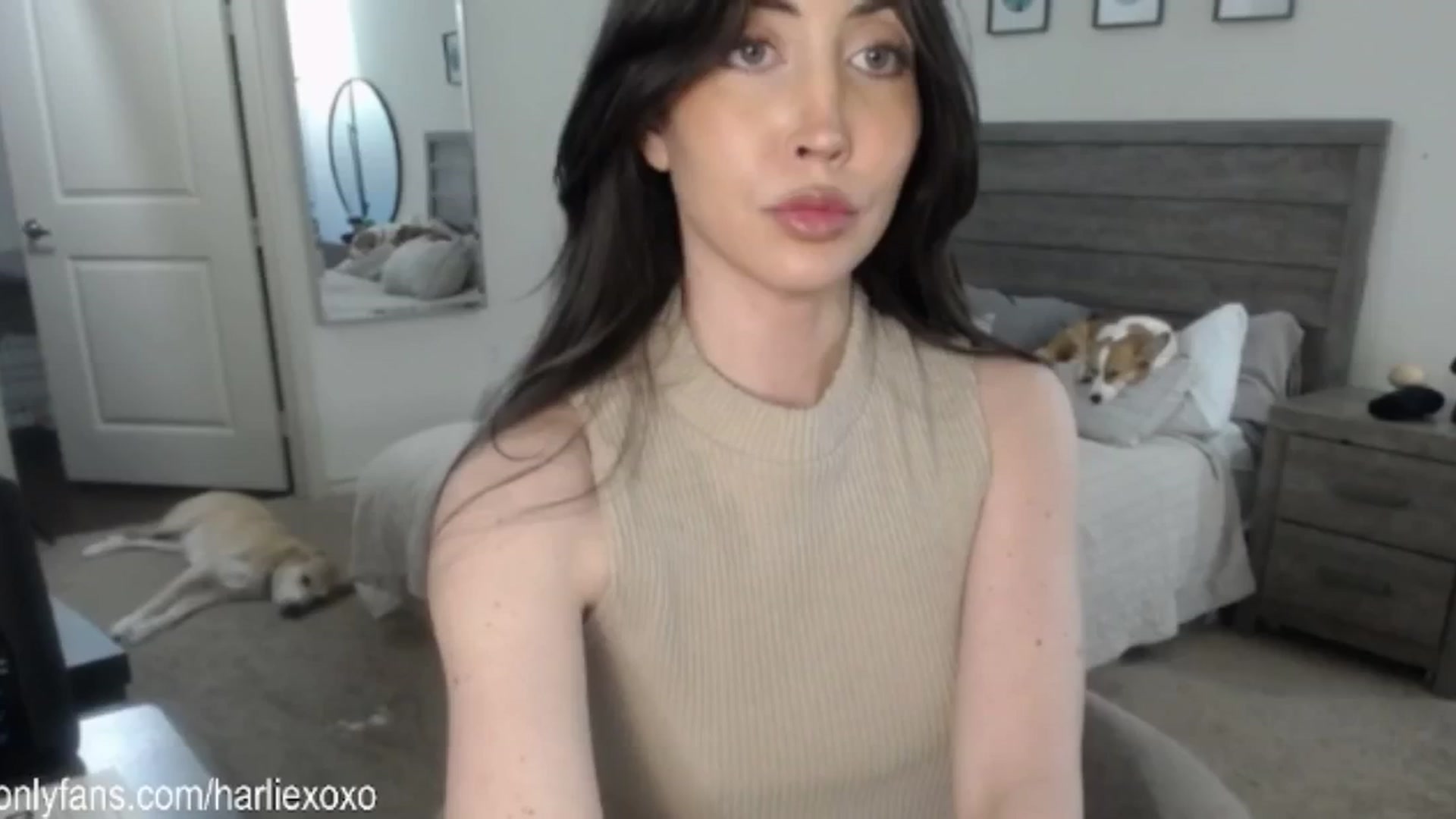 Gallery image thumbnail from SweetHarlie's myfreecams stream on, 01/14/2025, 20:34 image 16 of 20