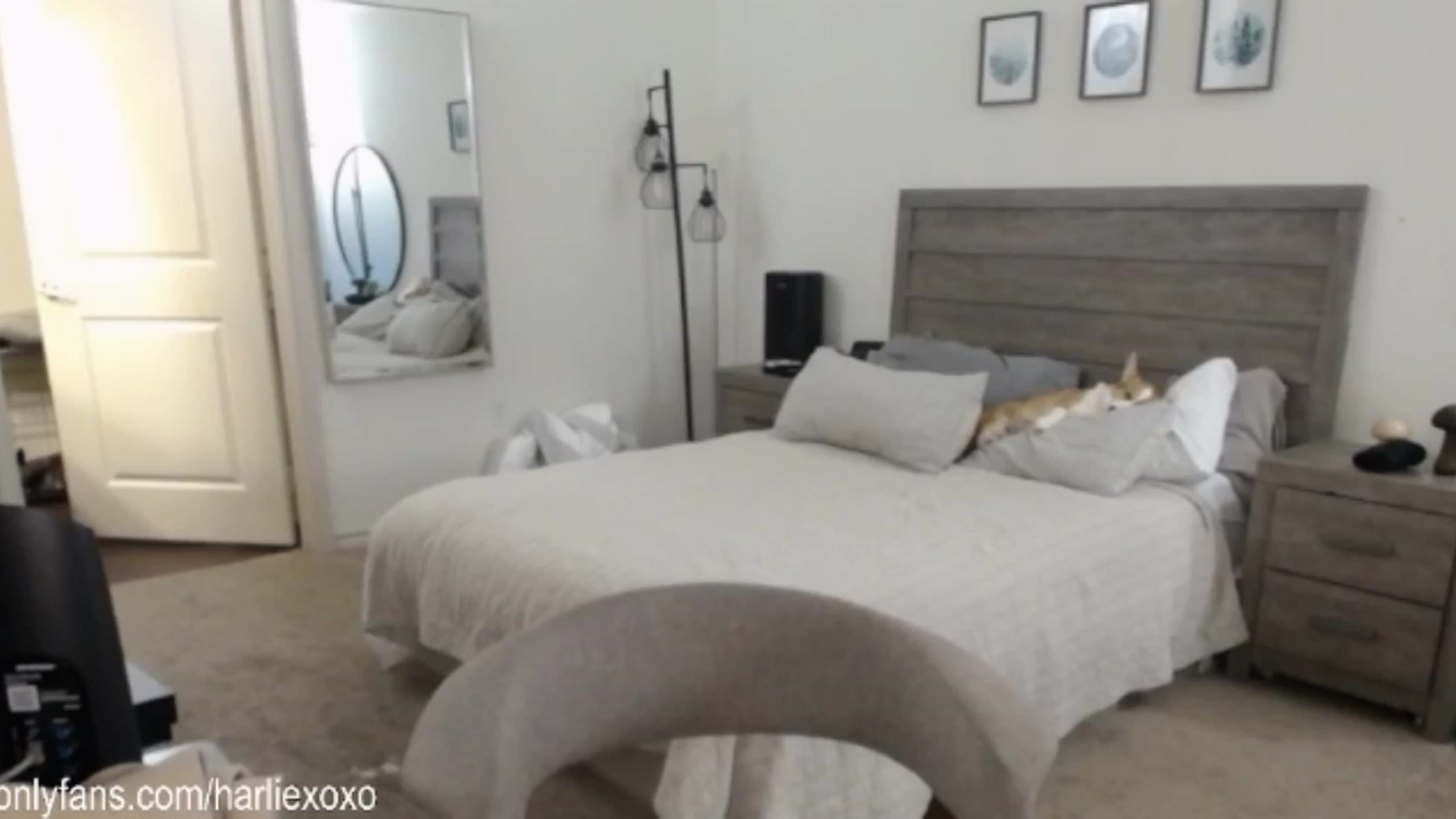 Gallery image thumbnail from SweetHarlie's myfreecams stream on, 01/14/2025, 23:01 image 19 of 20