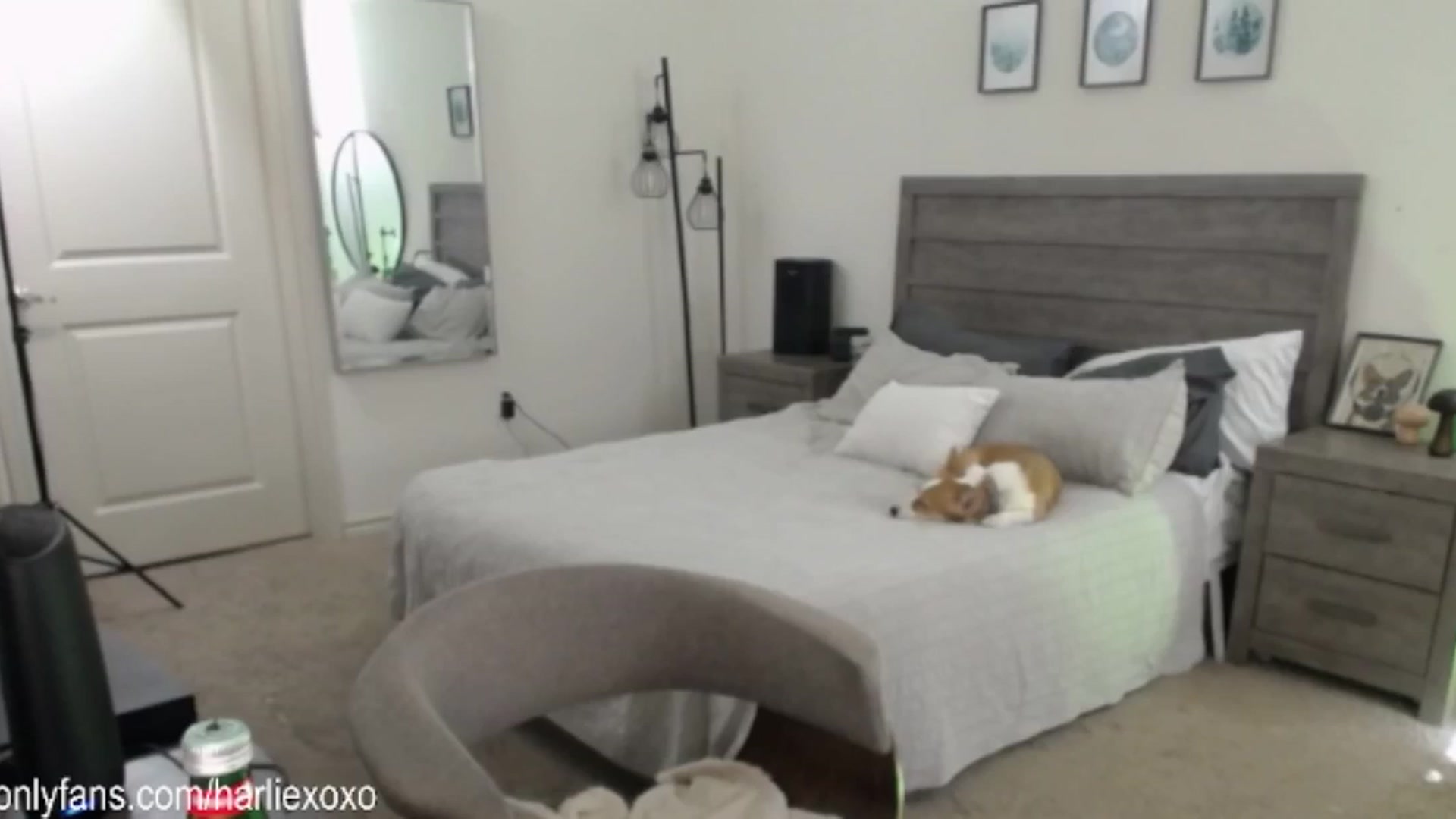Gallery image thumbnail from SweetHarlie's myfreecams stream on, 03/14/2025, 23:37 image 11 of 20