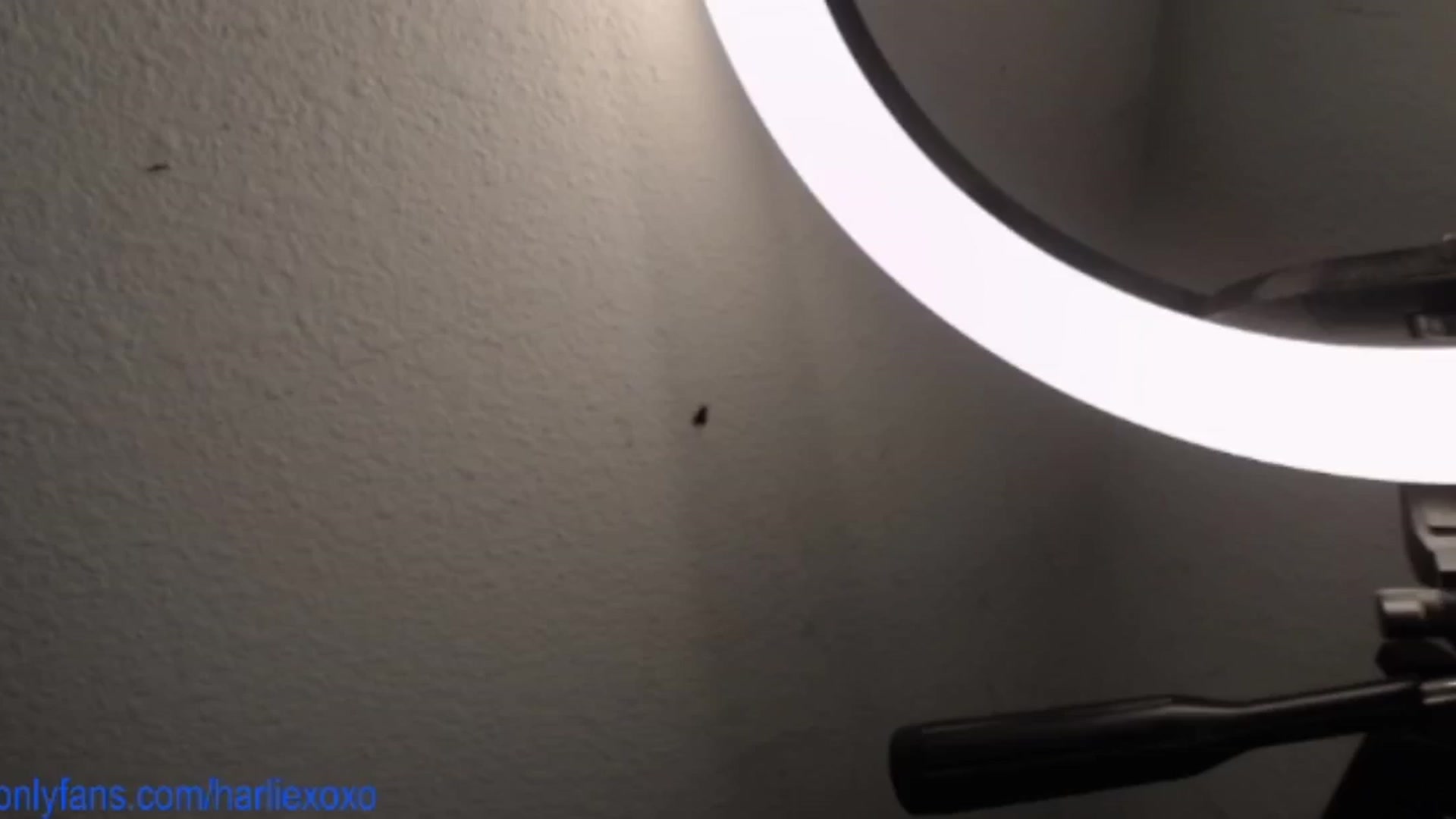Gallery image thumbnail from SweetHarlie's myfreecams stream on, 04/26/2025, 17:54 image 8 of 20