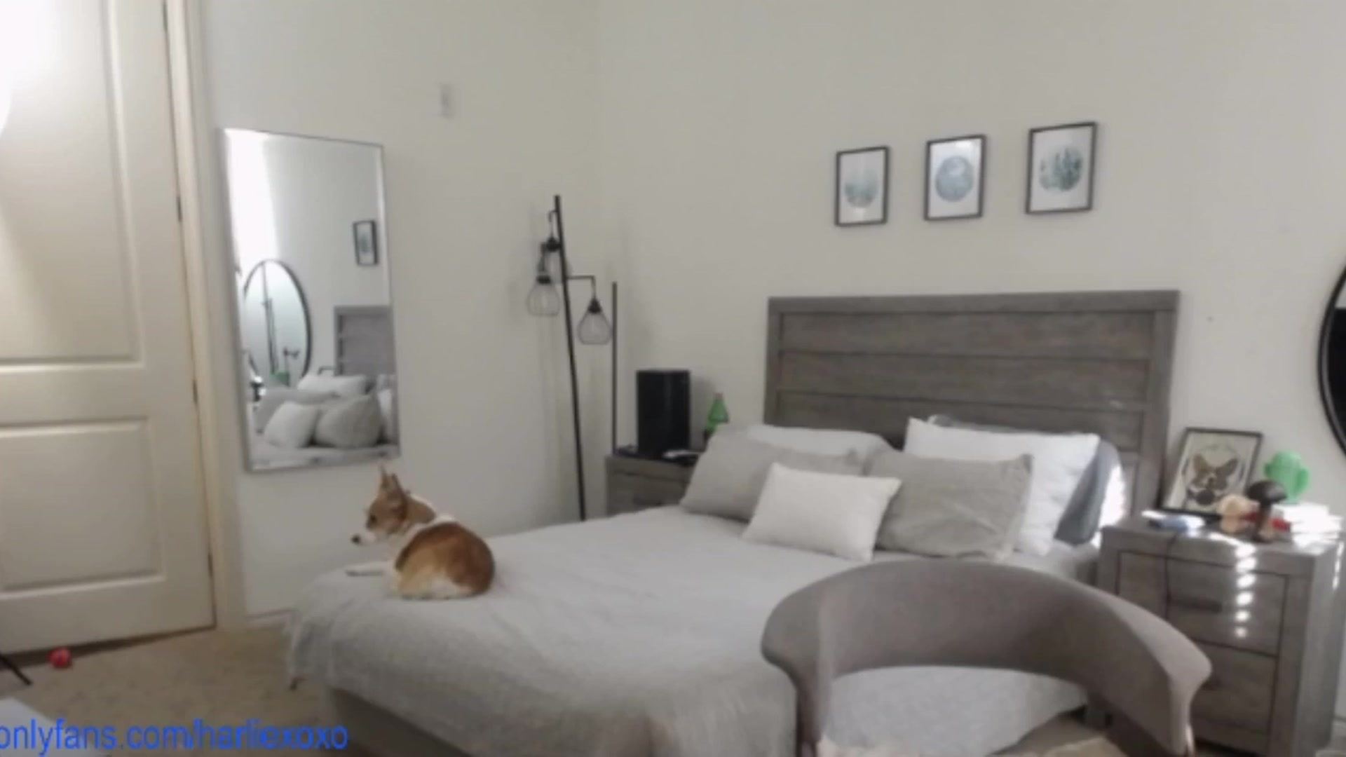 Gallery image thumbnail from SweetHarlie's myfreecams stream on, 05/08/2025, 22:41 image 8 of 20