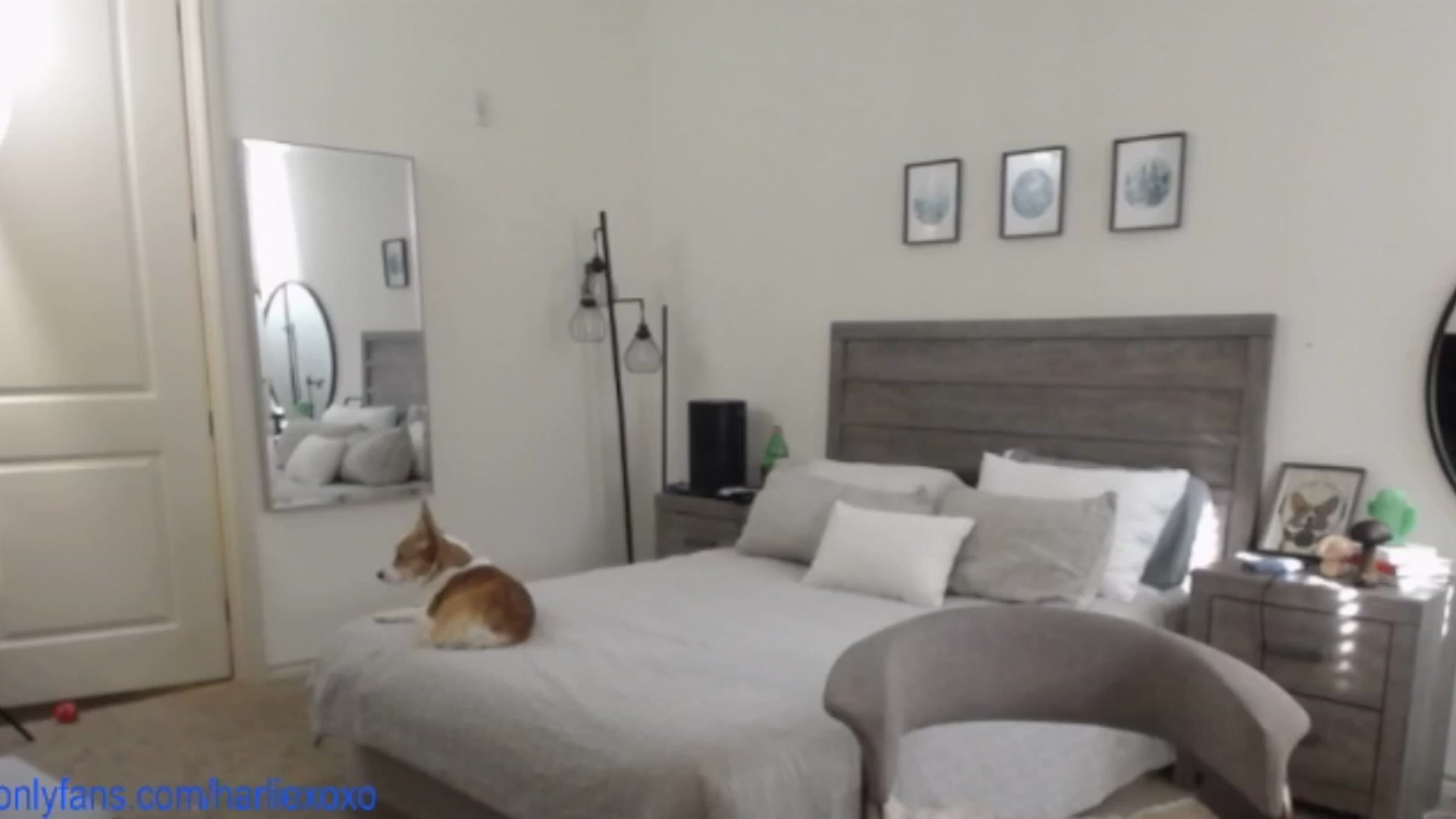 Gallery image thumbnail from SweetHarlie's myfreecams stream on, 05/08/2025, 22:41 image 9 of 20