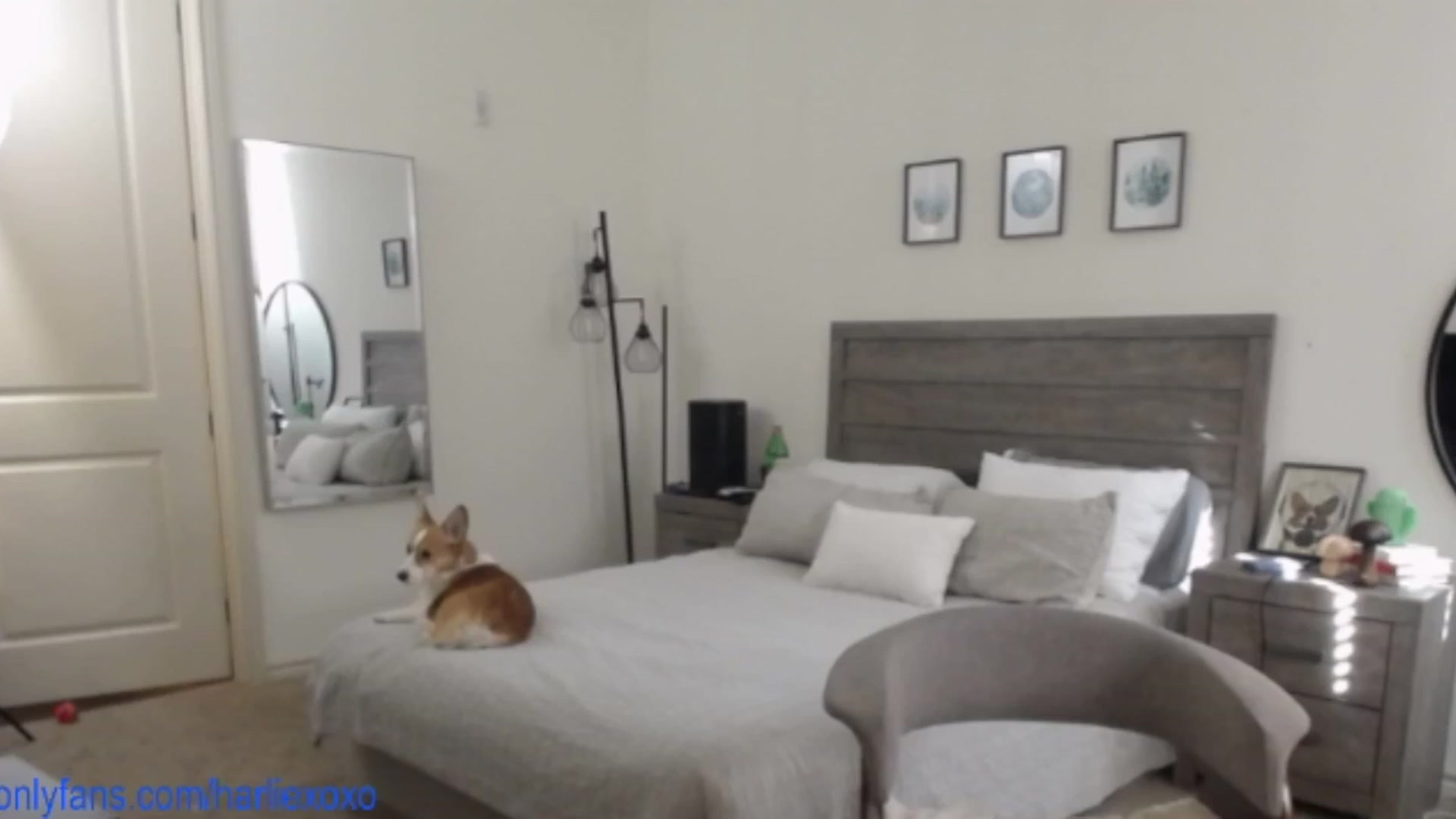 Gallery image thumbnail from SweetHarlie's myfreecams stream on, 05/08/2025, 22:41 image 6 of 20